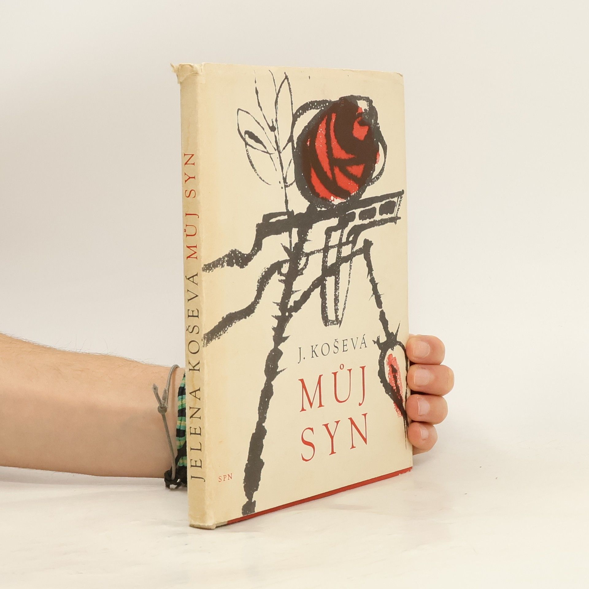 Jelena Koševá Můj syn