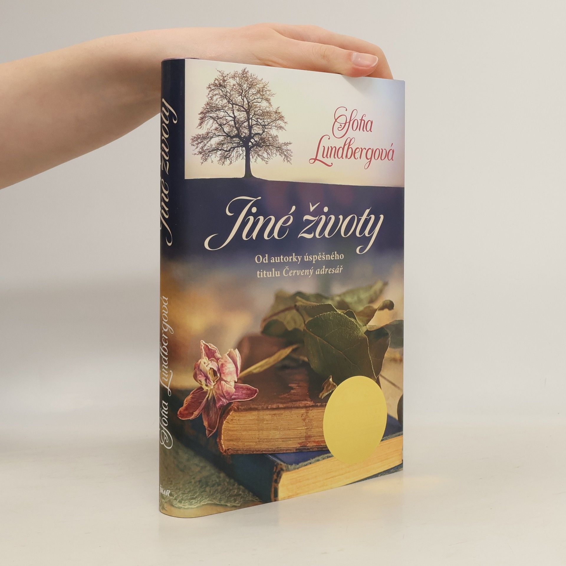 Sofia Lundberg Jiné životy