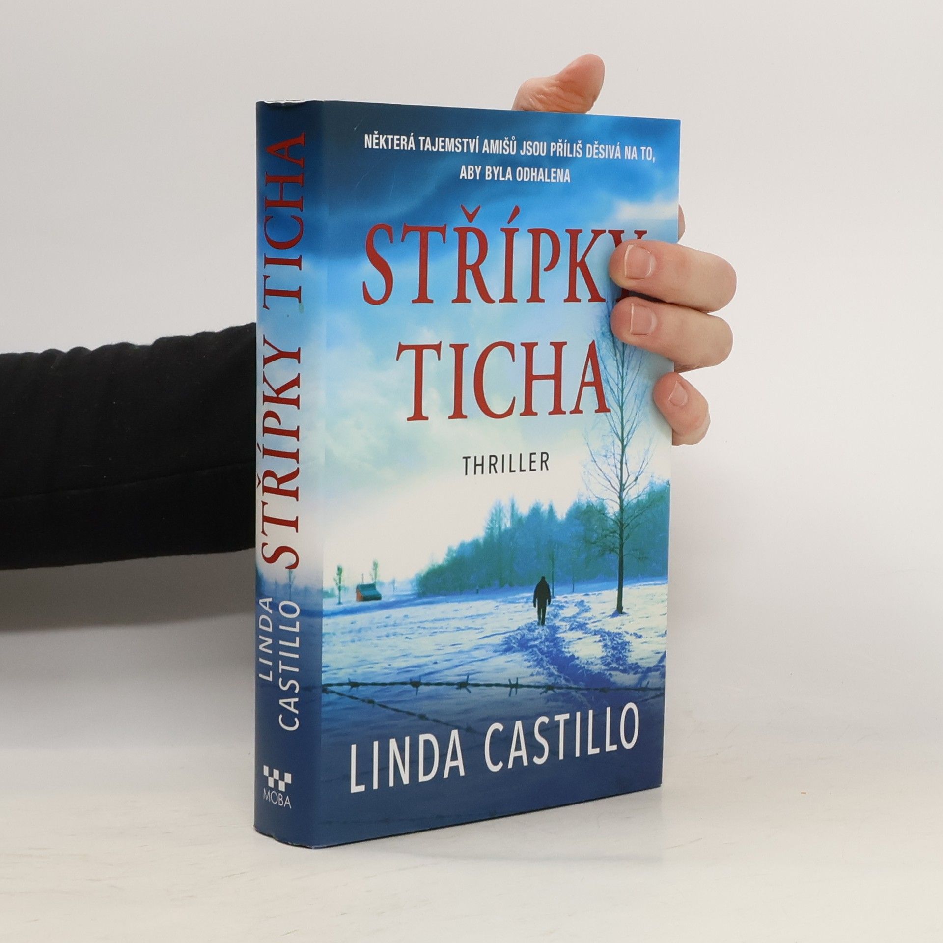 Linda Castillo Střípky ticha