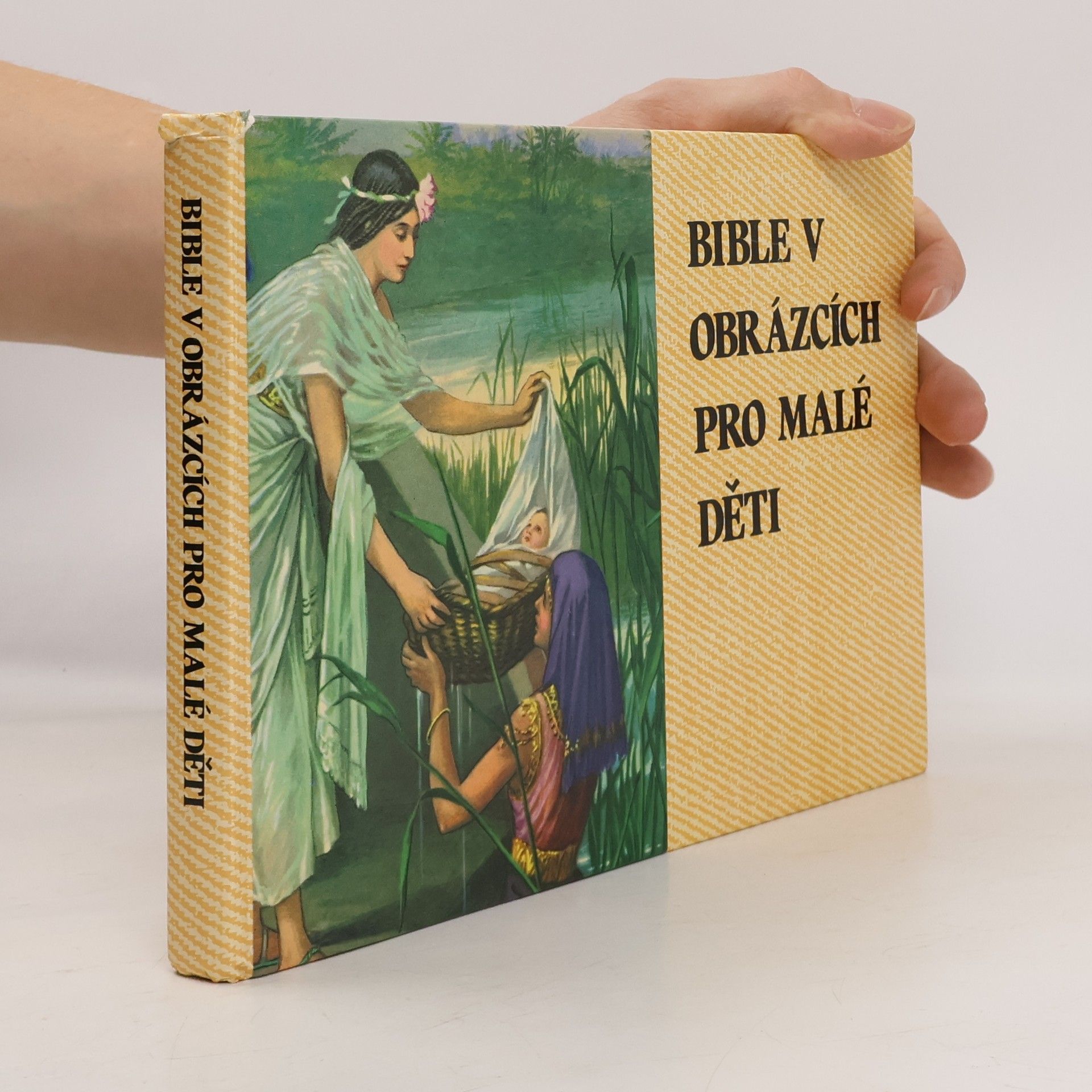 Kenneth N. Taylor Bible v obrázcích pro malé děti