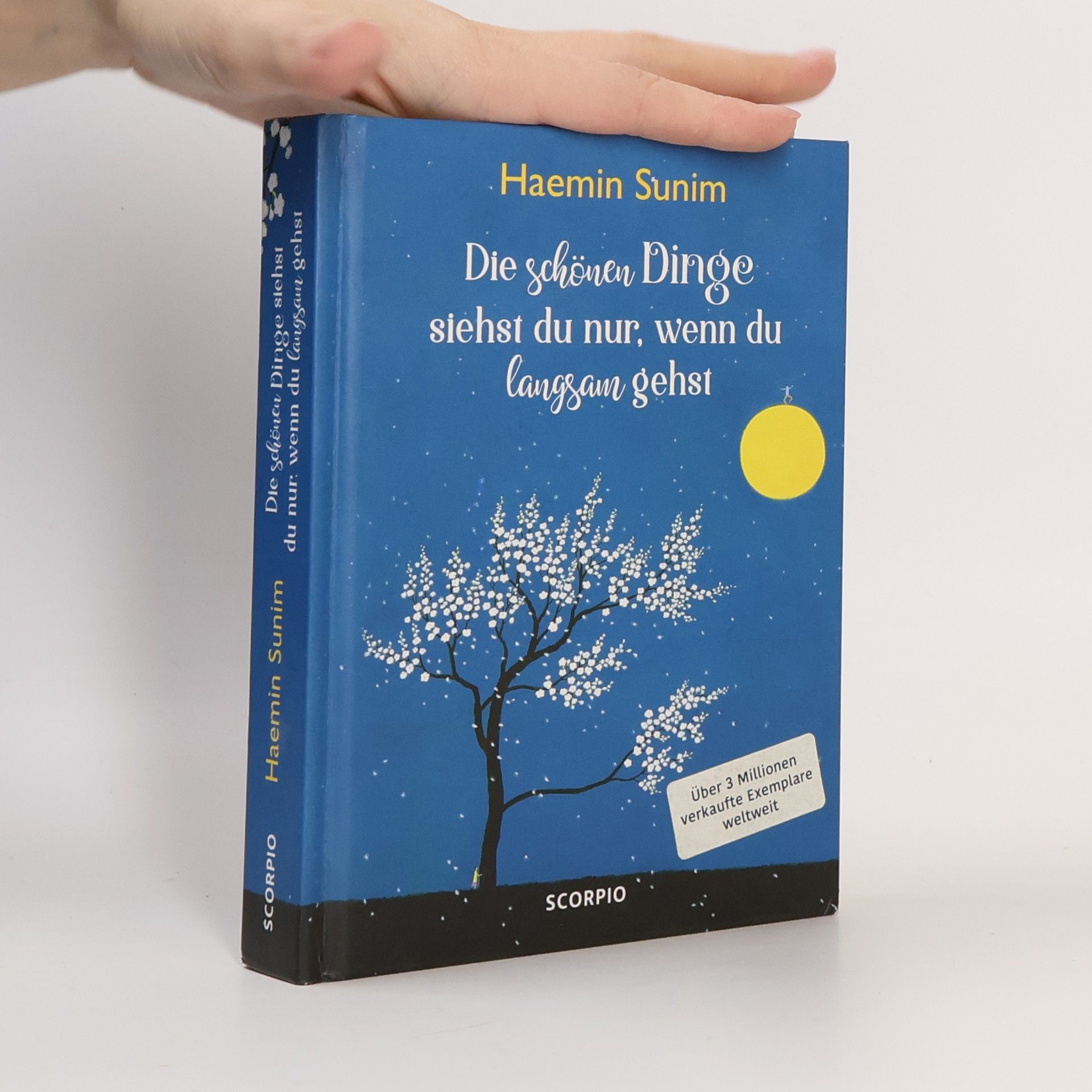 Haemin Die schönen Dinge siehst du nur, wenn du langsam gehst