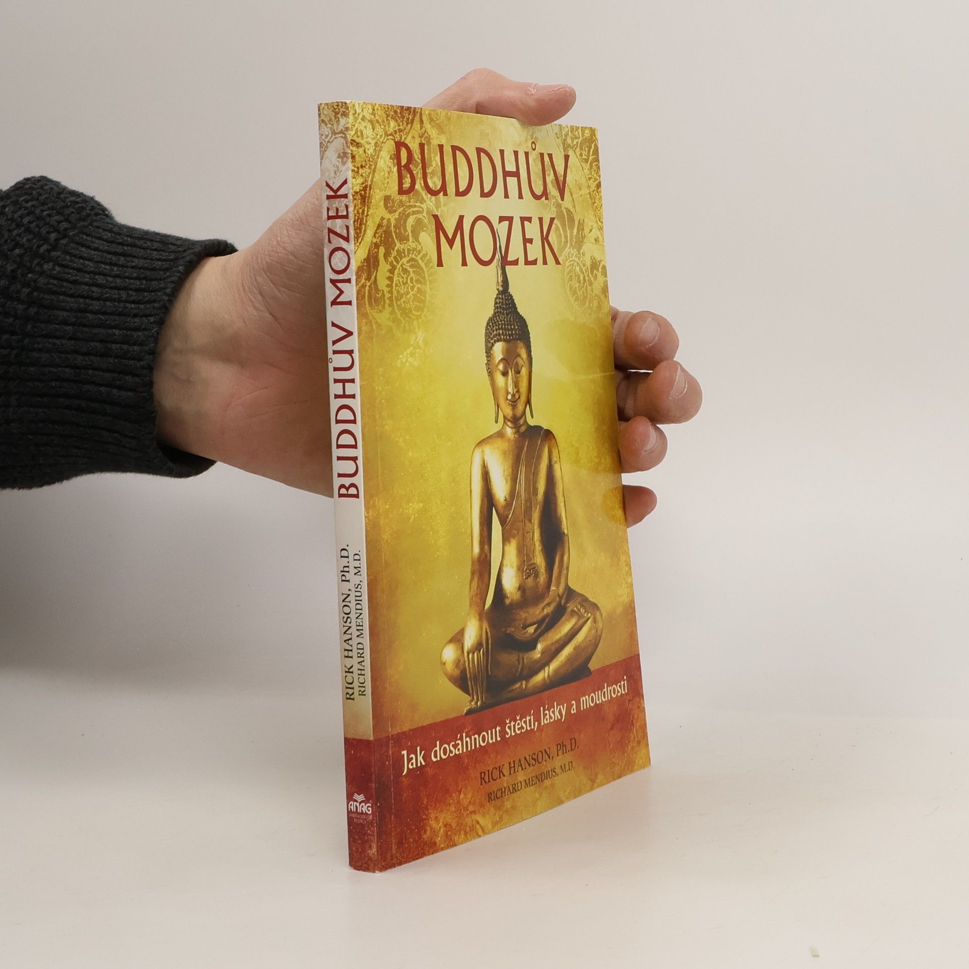 Rick Hanson Buddhův mozek: Jak dosáhnout štěstí, lásky a moudrosti