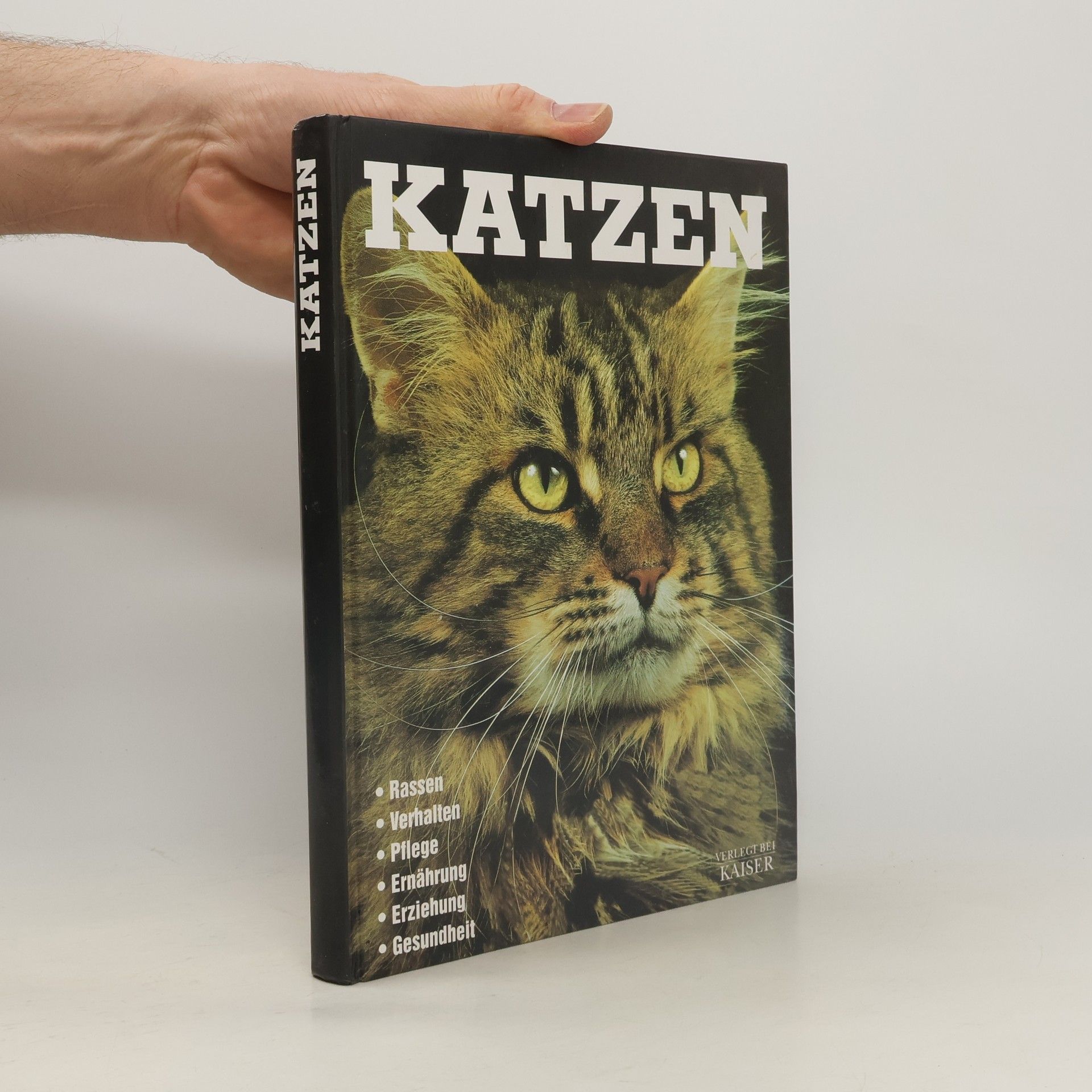 Kolektiv autorů Katzen