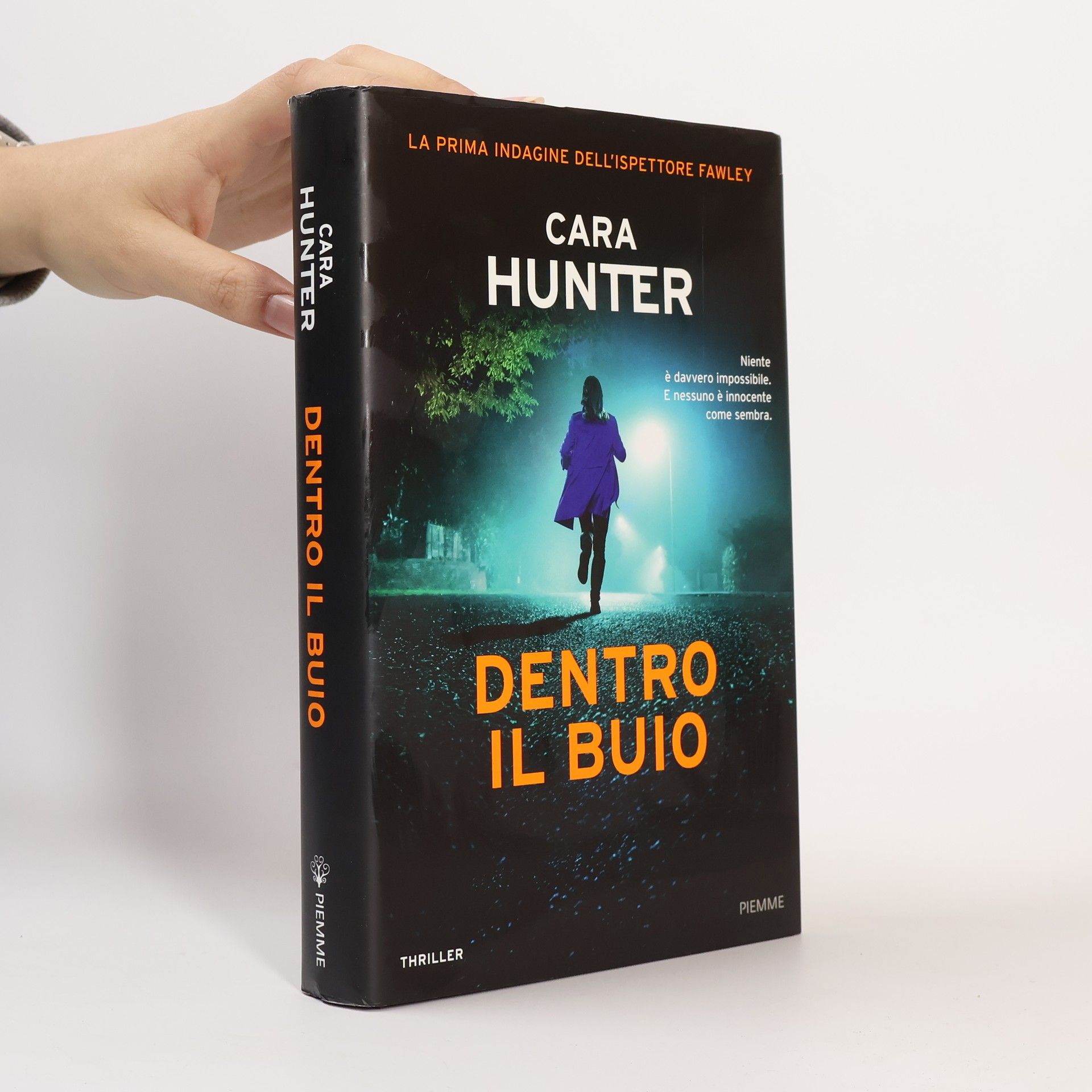 La prima indagine dell'ispettore Fawley: Dentro il buio