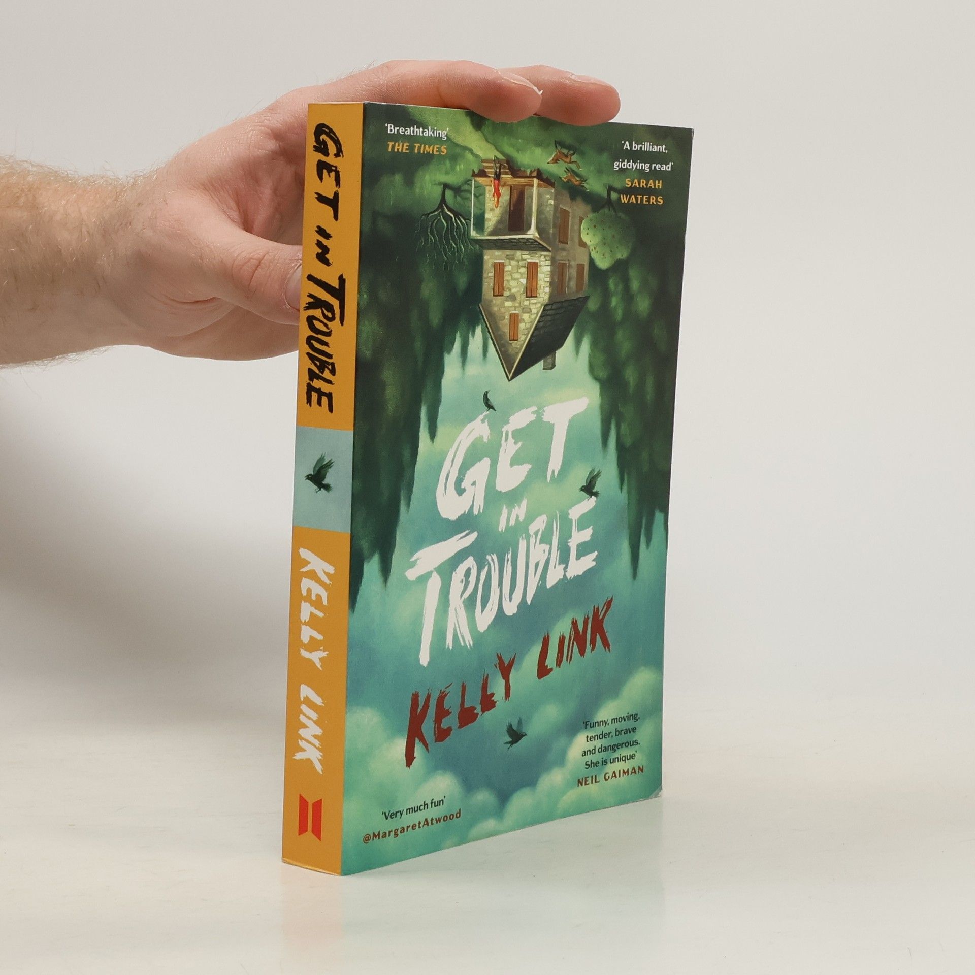 Kelly Link Get in Trouble