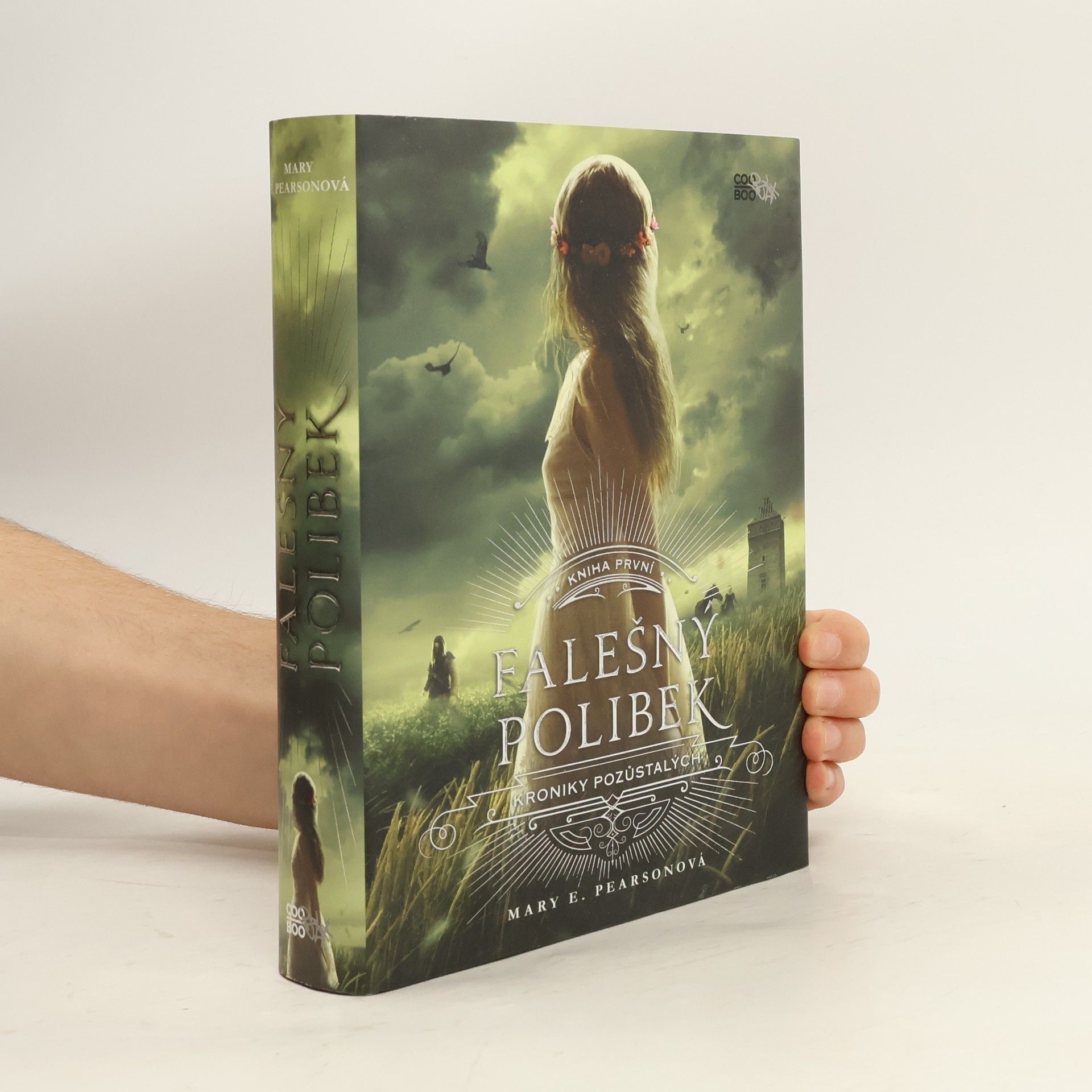 Mary E. Pearson Kroniky pozůstalých. Kniha první, Falešný polibek