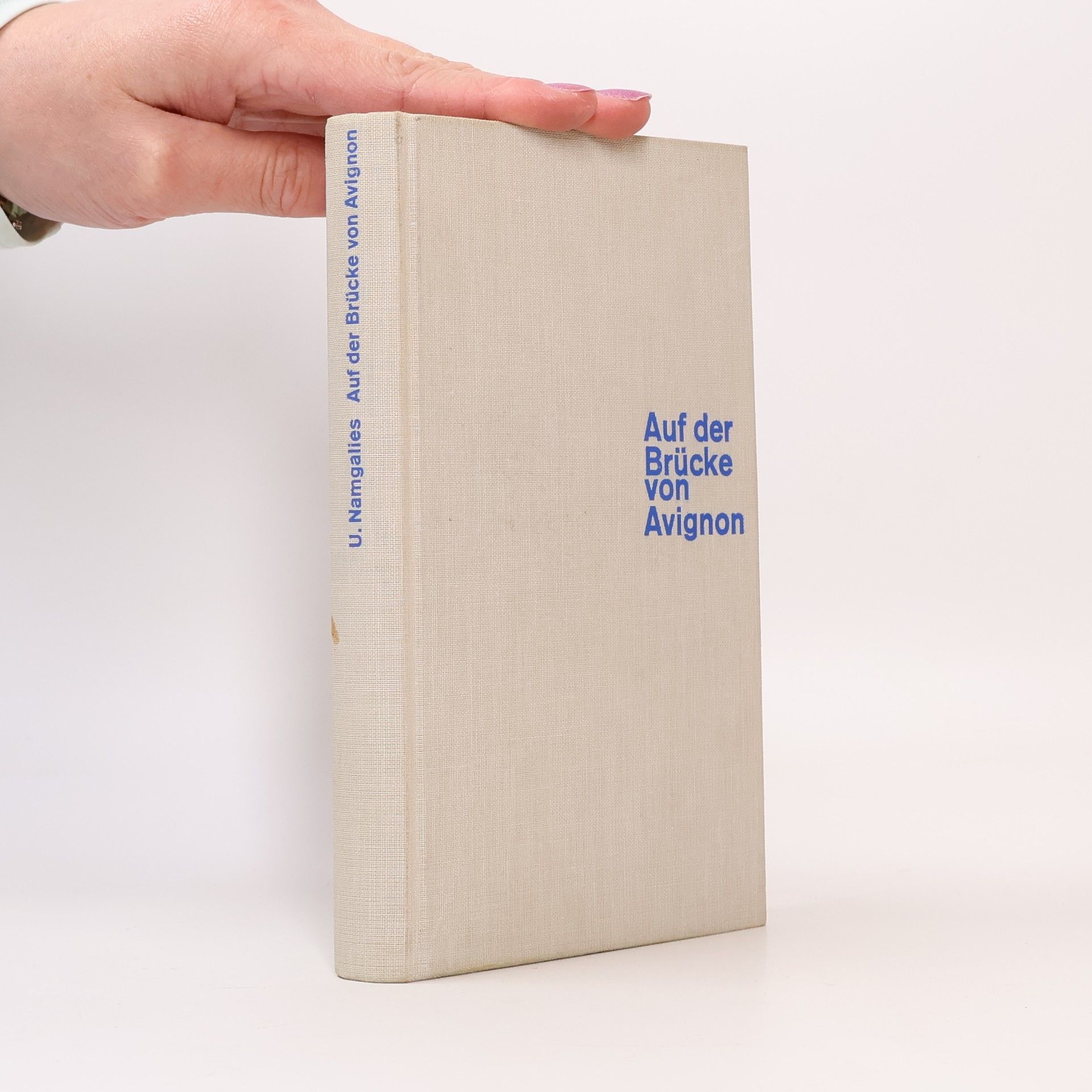 Ida Vos Tanzen auf der Brücke von Avignon