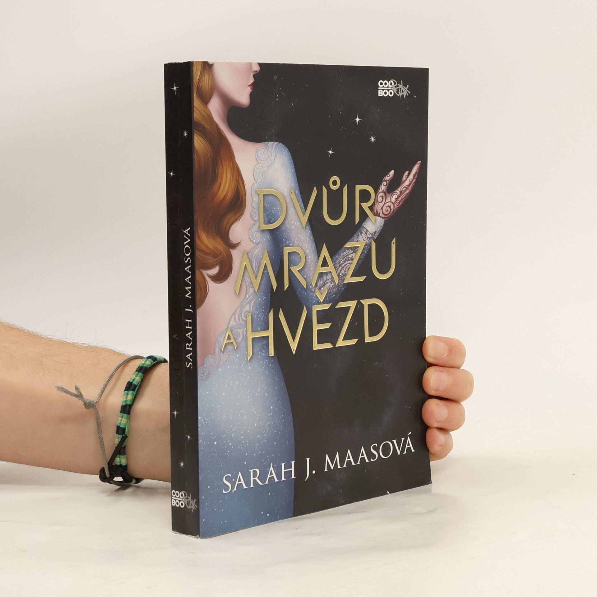 Sarah J. Maas Dvůr mrazu a hvězd