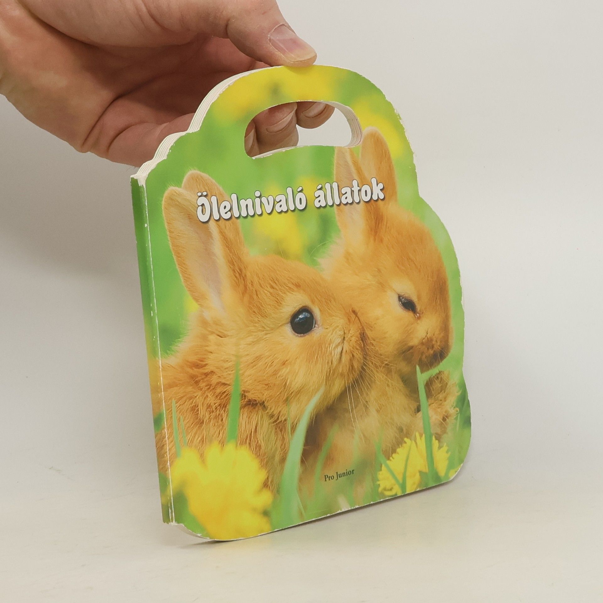 Autores varios Ölelnivaló állatok