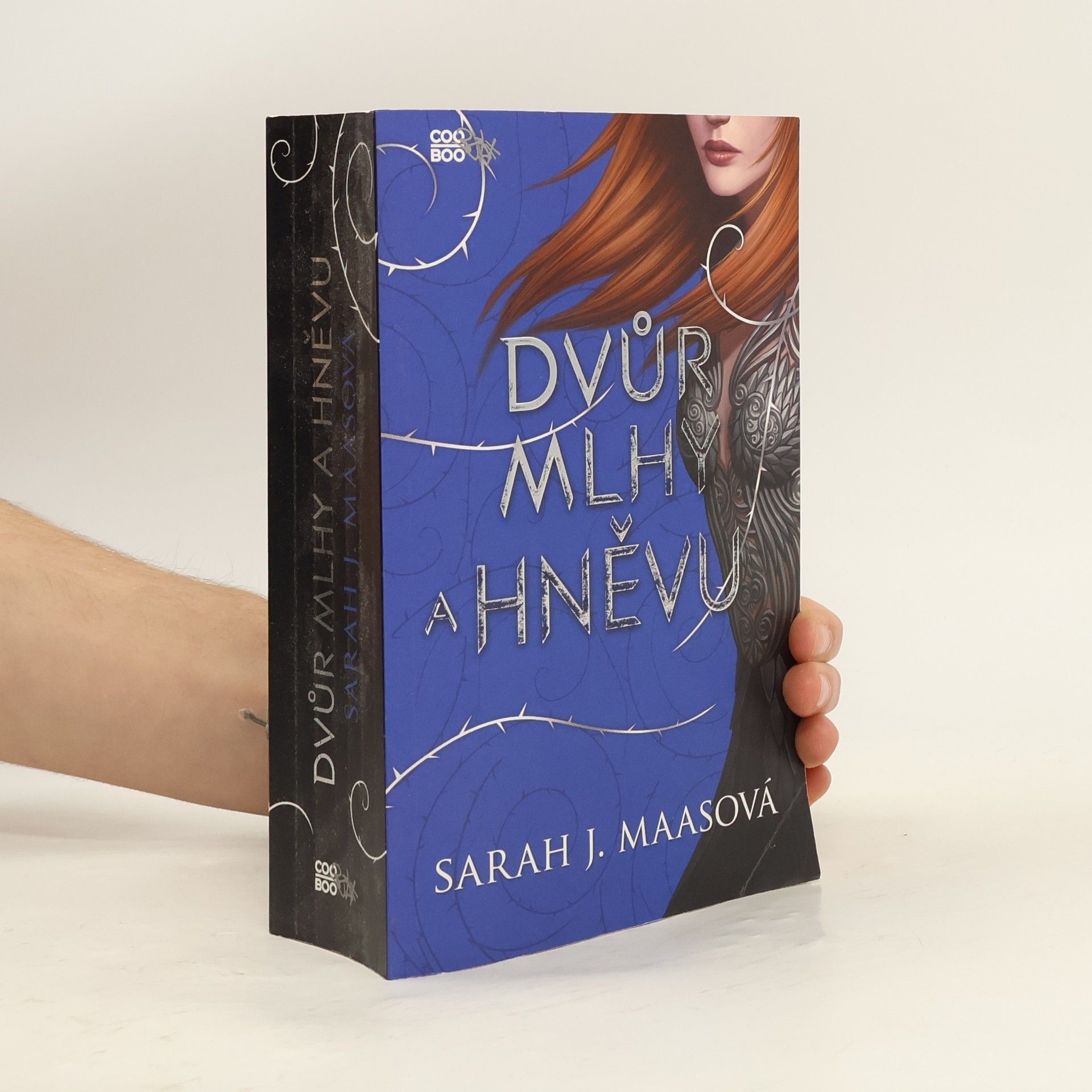Sarah J. Maas Dvůr mlhy a hněvu