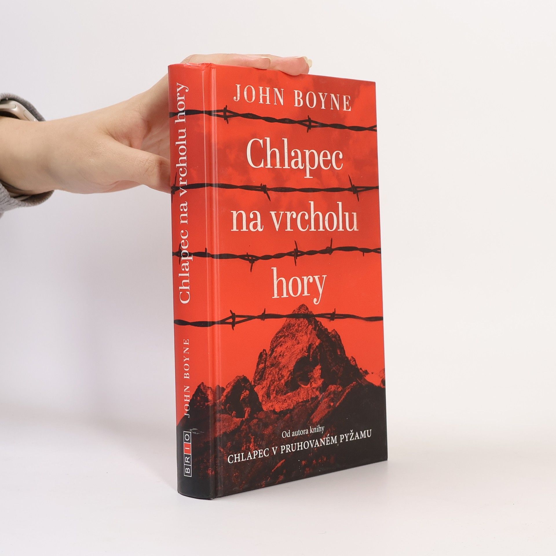 John Boyne Chlapec na vrcholu hory