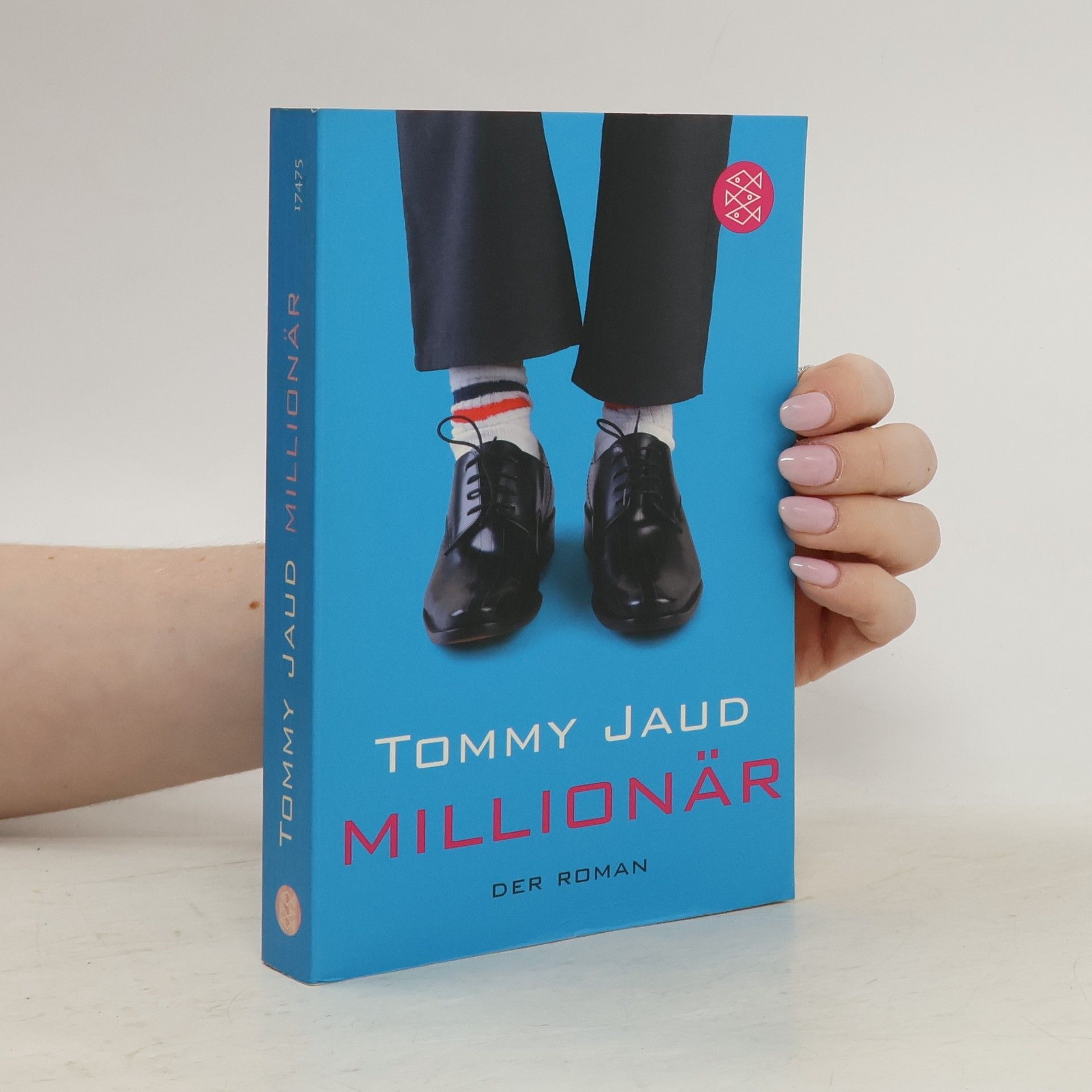 Tommy Jaud Millionär