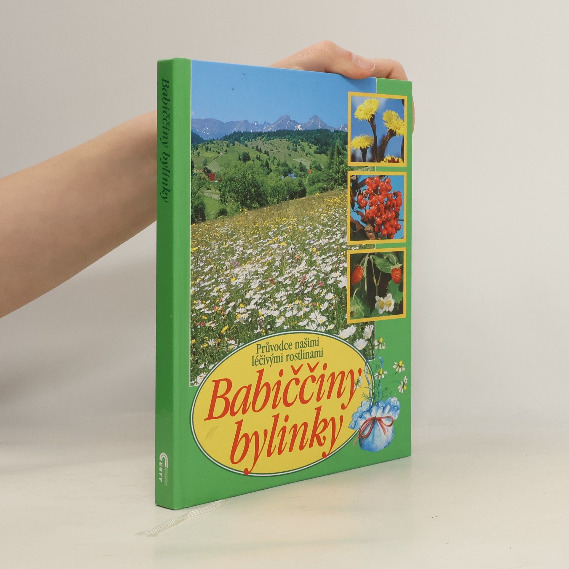 Babiččiny bylinky: Průvodce našimi léčivými rostlinami