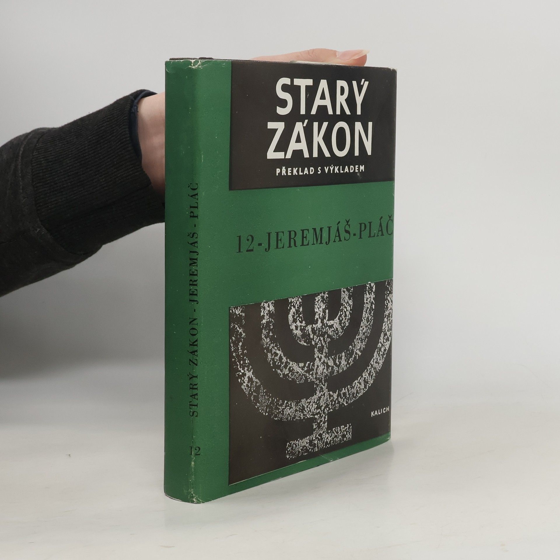 Kolektiv autorů Starý zákon 12. Jeremjáš - Pláč