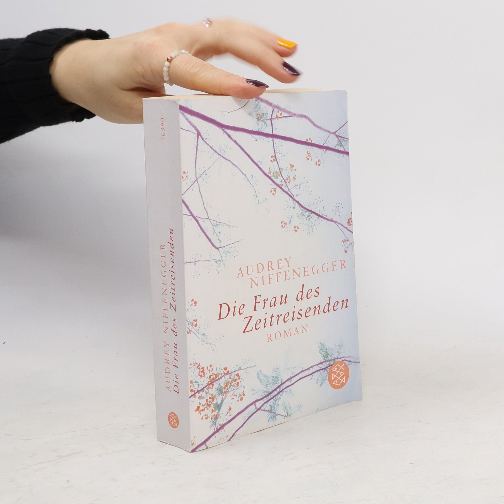 Audrey Niffenegger Die Frau des Zeitreisenden