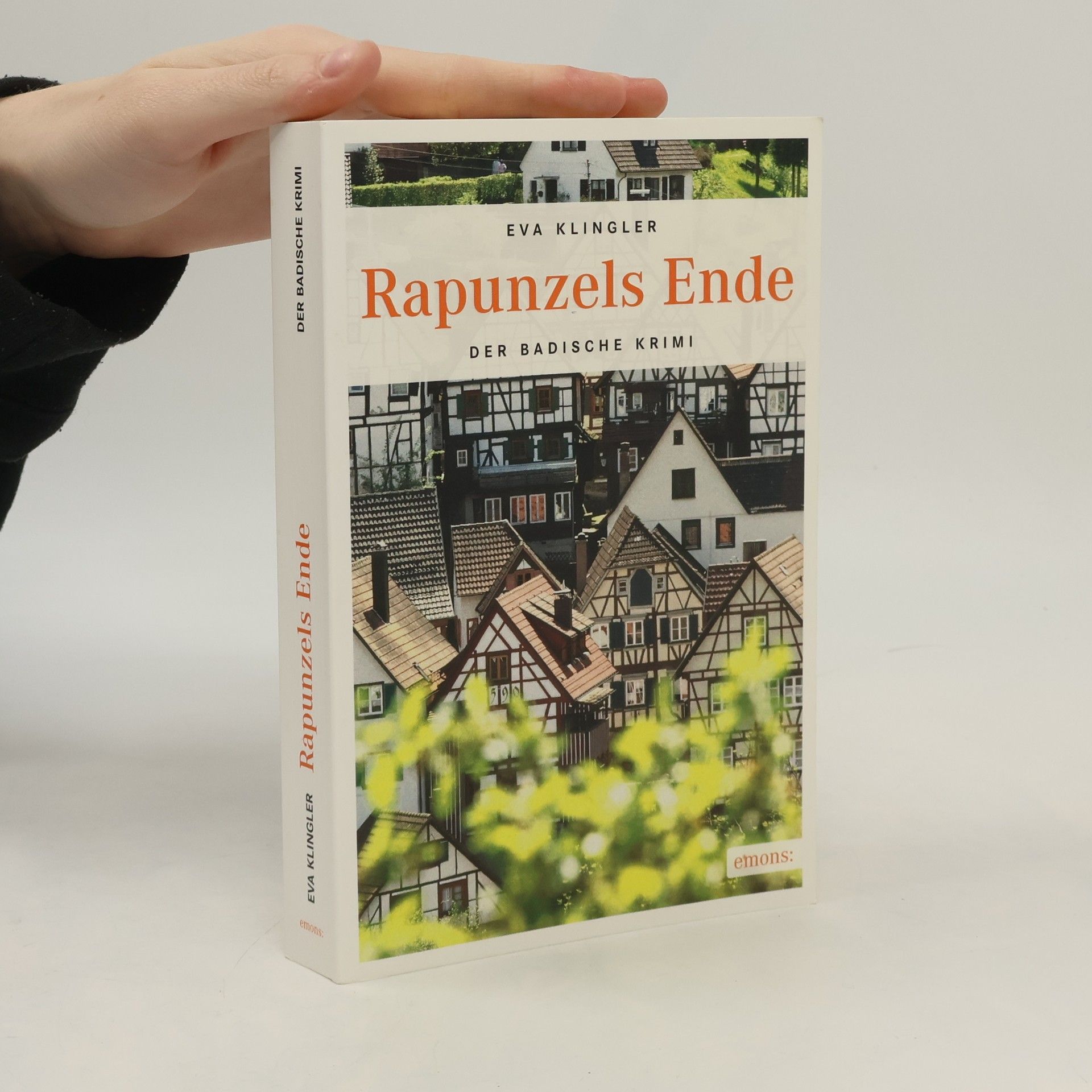 Eva Klingler Rapunzels Ende