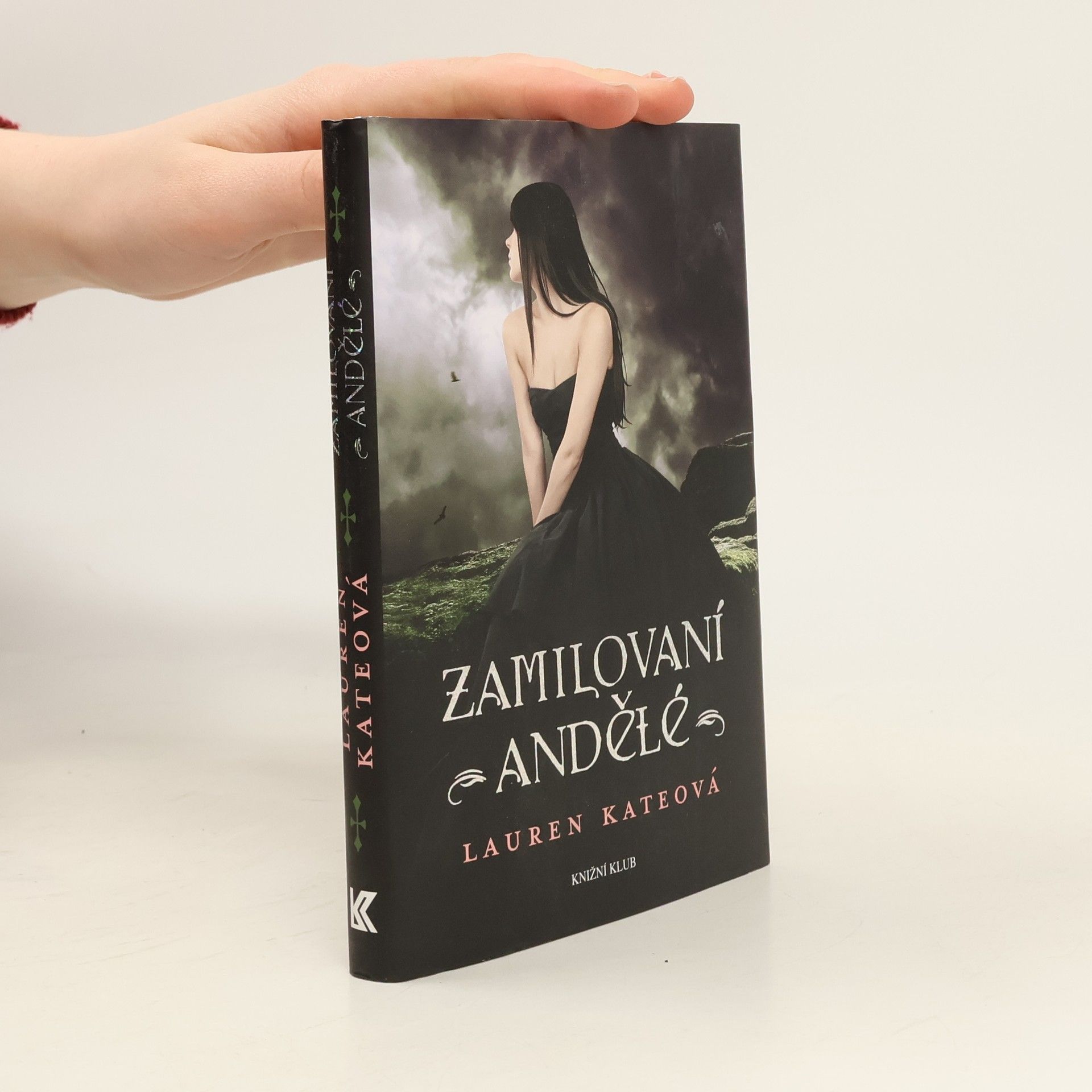 Lauren Kate Zamilovaní andělé