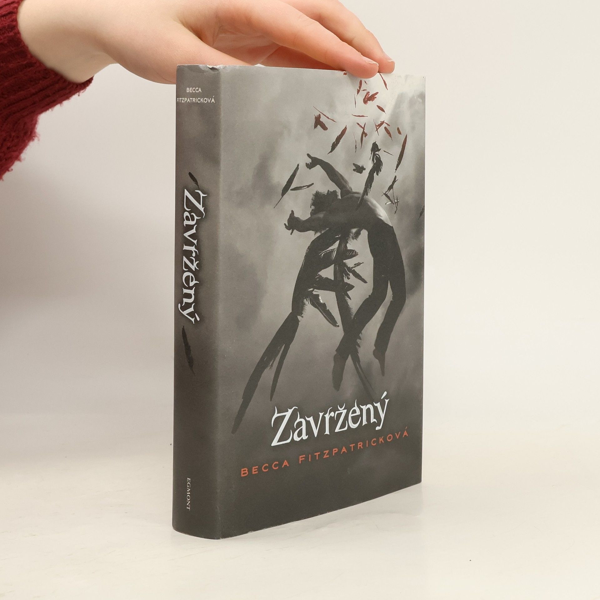 Becca Fitzpatricková Zavržený