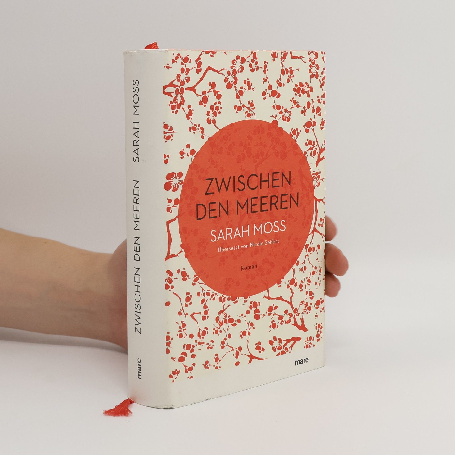 Sarah Moss Zwischen den Meeren