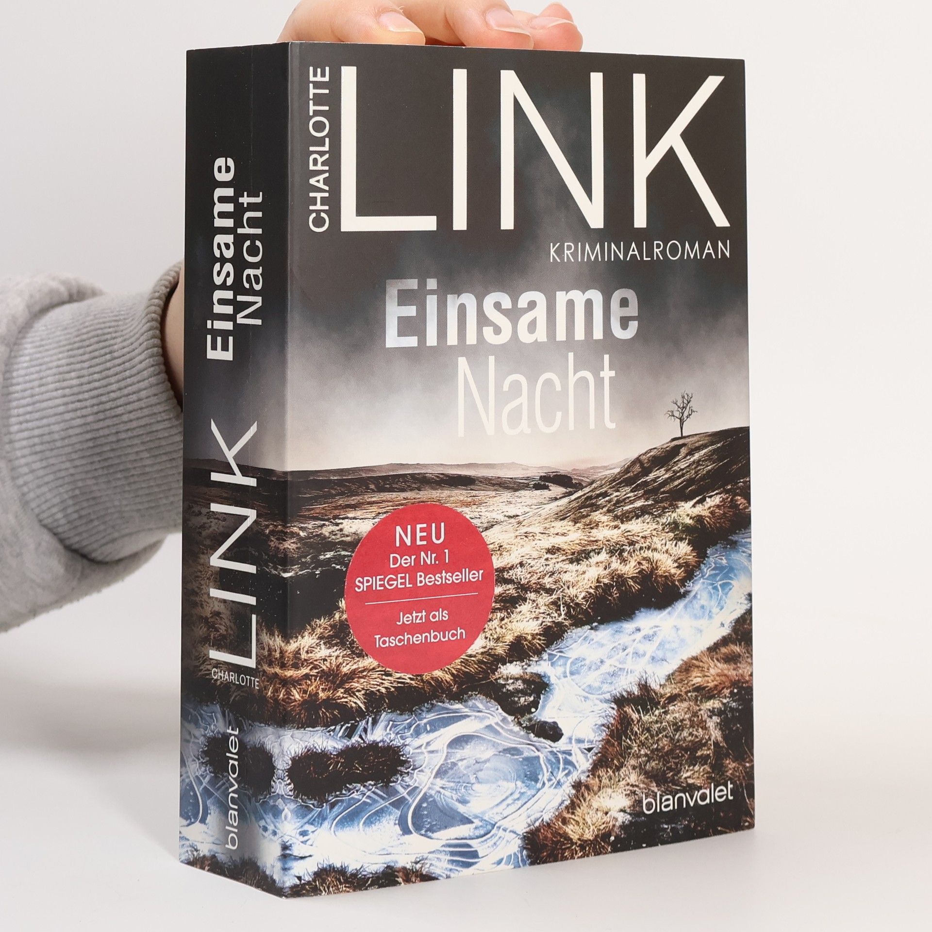 Charlotte Link Einsame Nacht