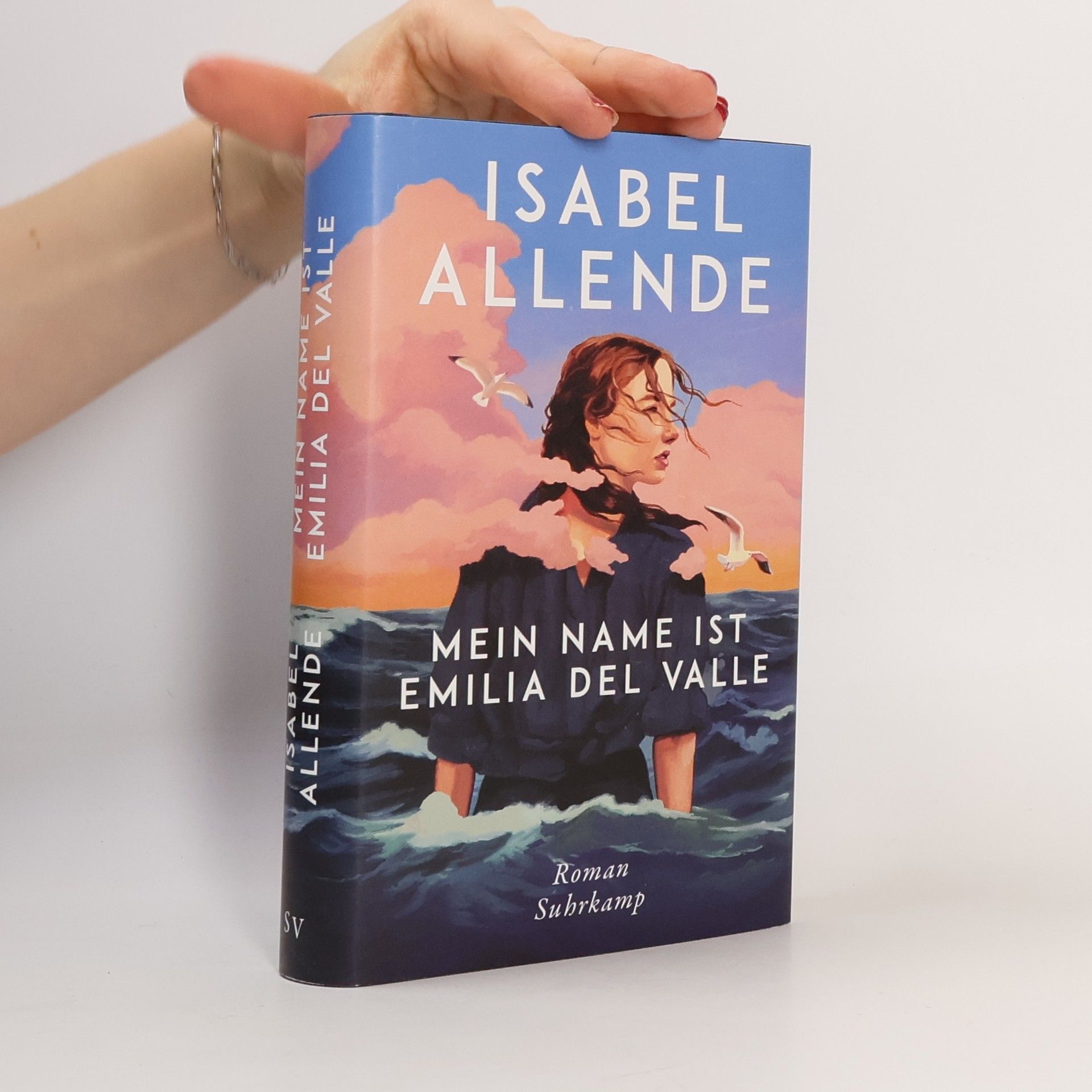 Isabel Allende Mein Name ist Emilia del Valle