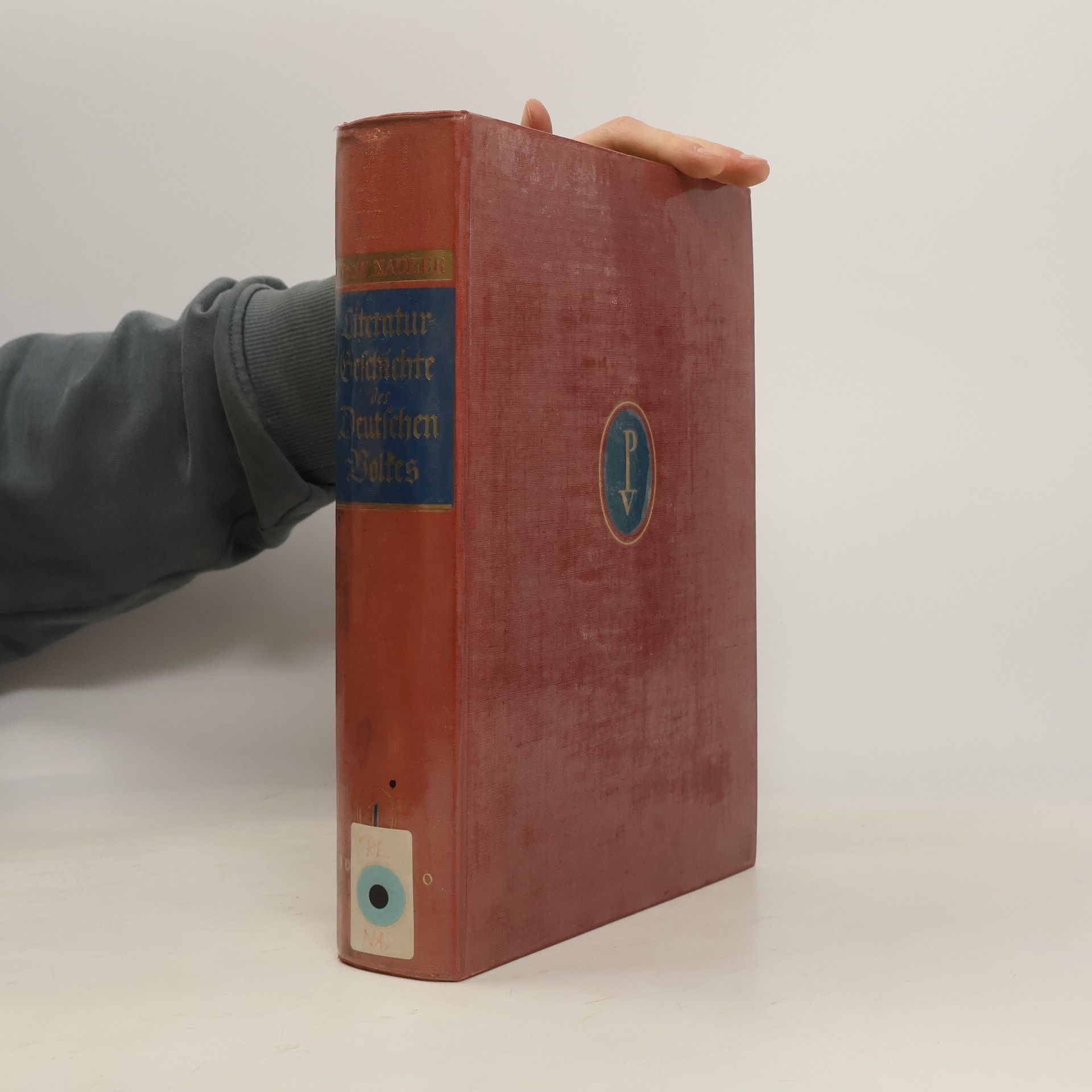 Literaturgeschichte des deutschen Volkes 1