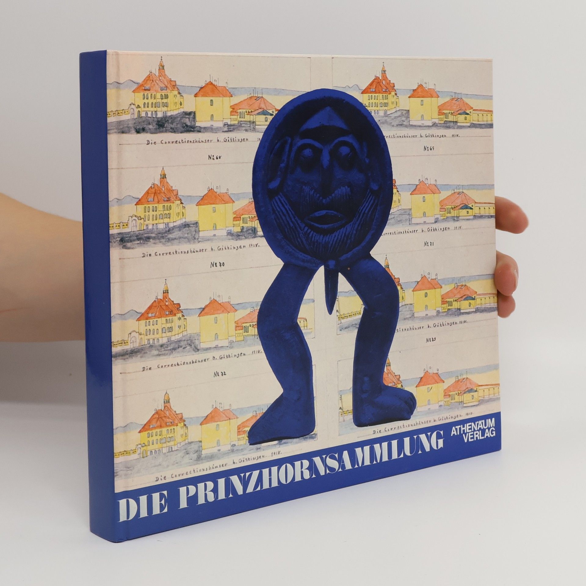 Auteurscollectief Die Prinzhorn-Sammlung