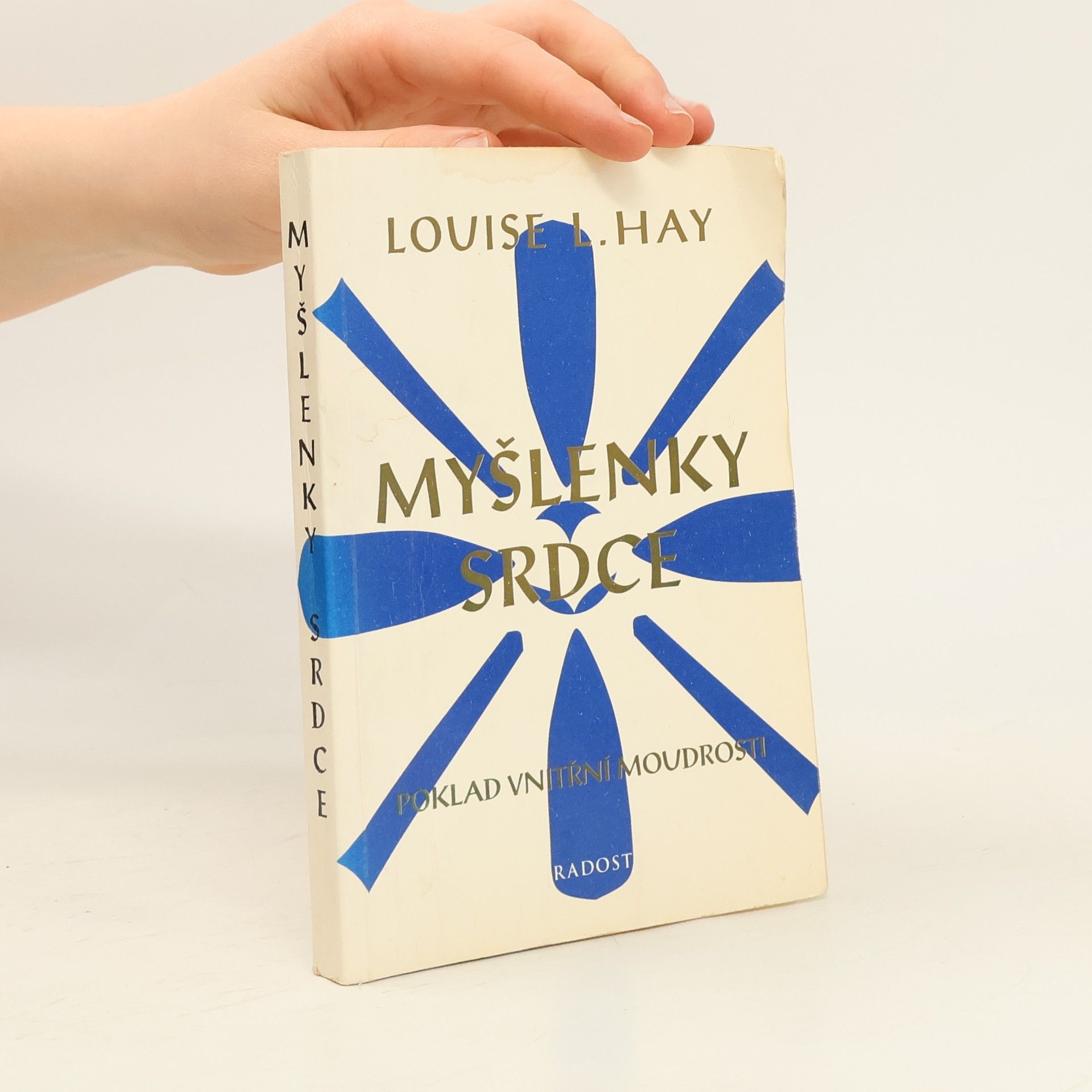 Louise Lynn Hay Myšlenky srdce