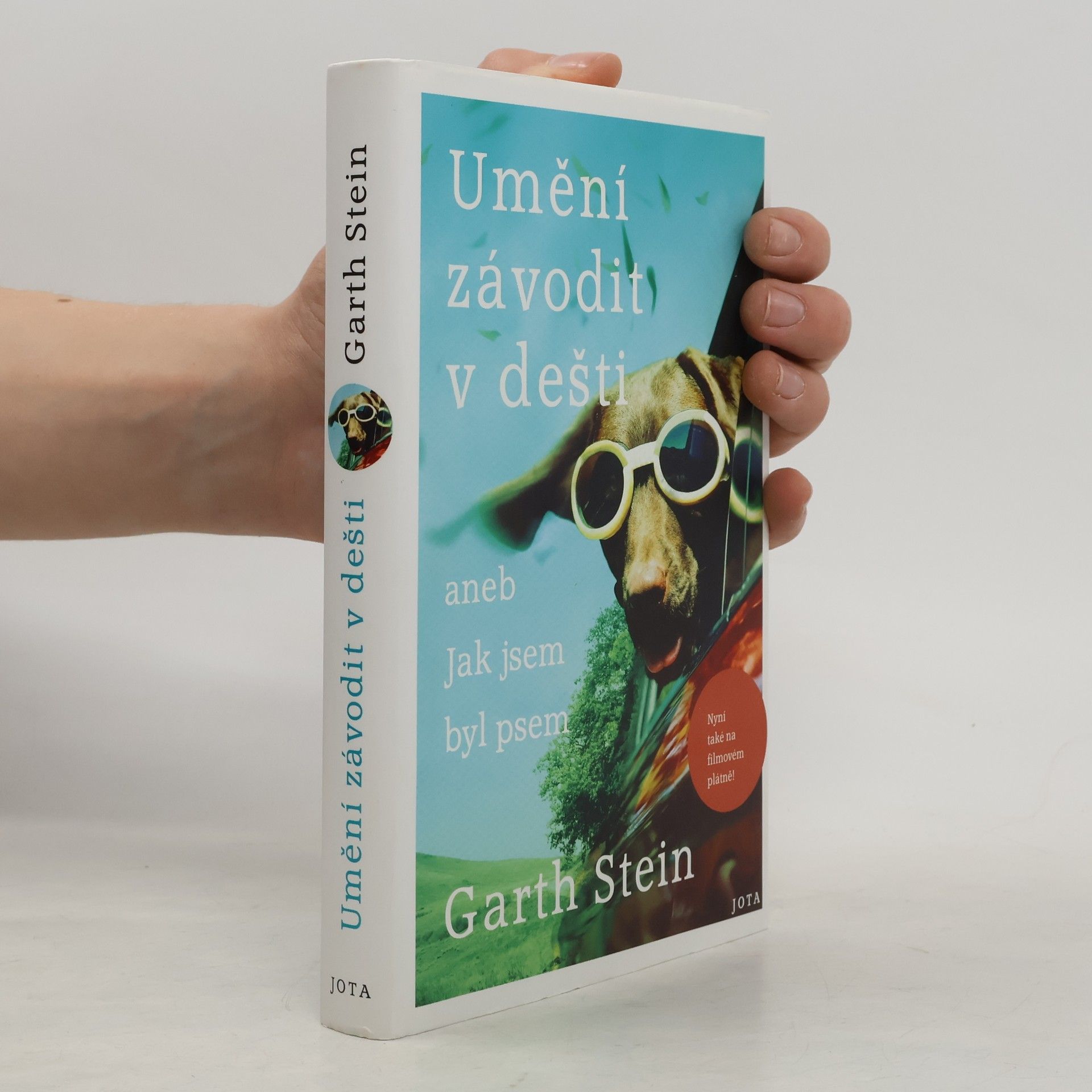 Garth Stein Umění závodit v dešti