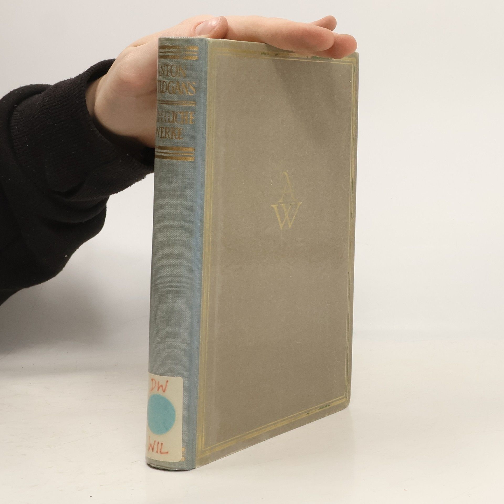 Anton Wildgans Musik der Kindheit