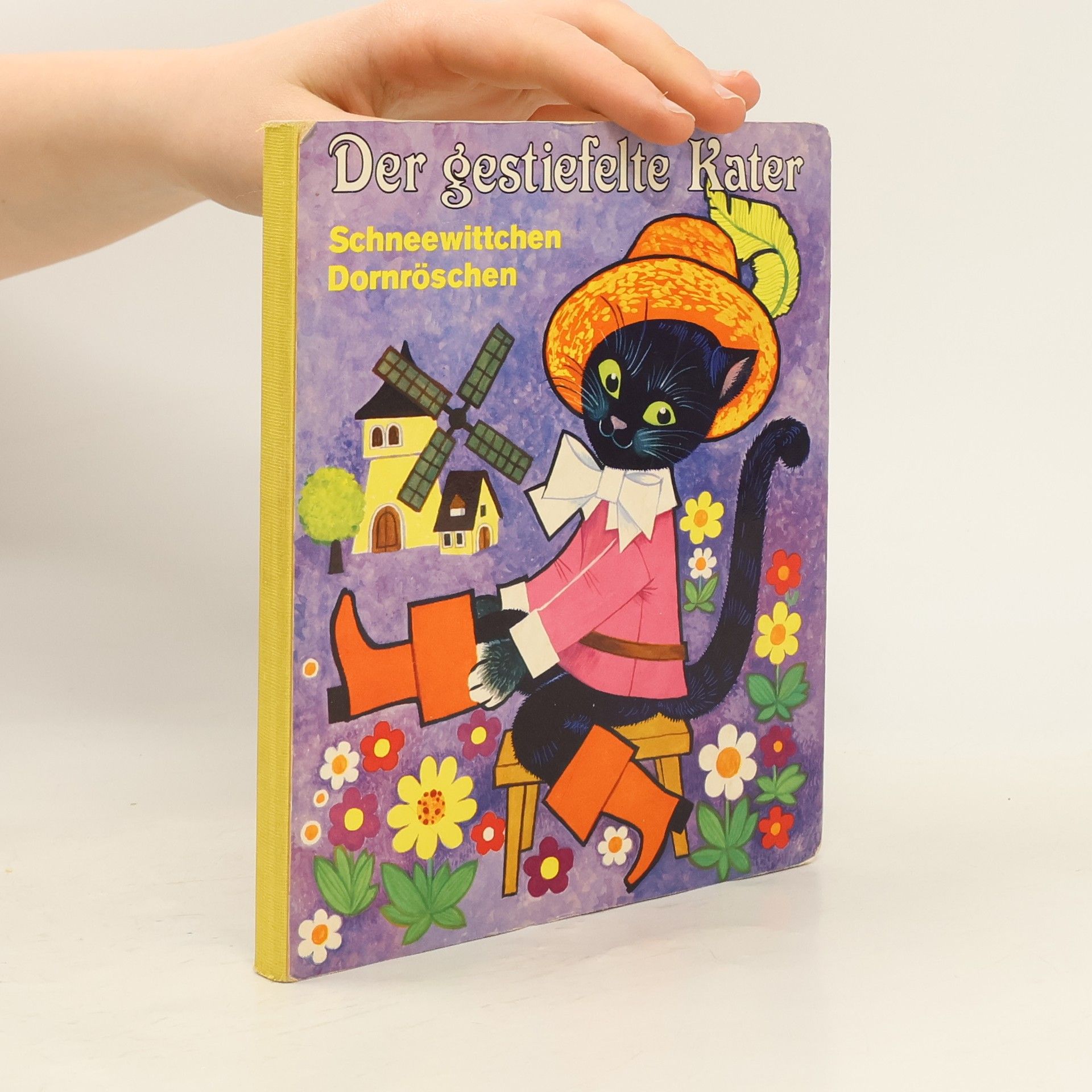 Autorenkollektiv Der gestiefelte Kater