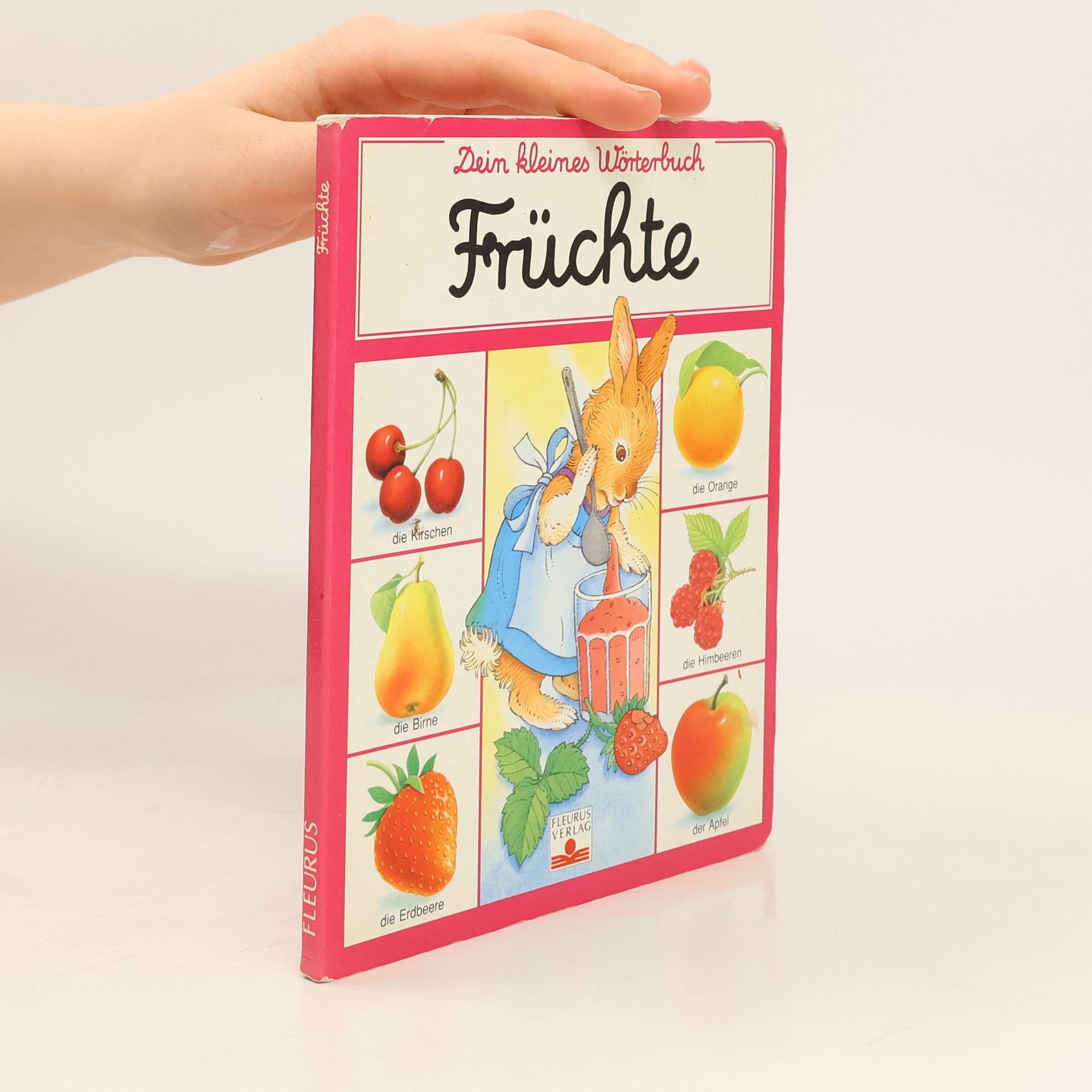 Violayne Hulné Dein kleines Wörterbuch Früchte