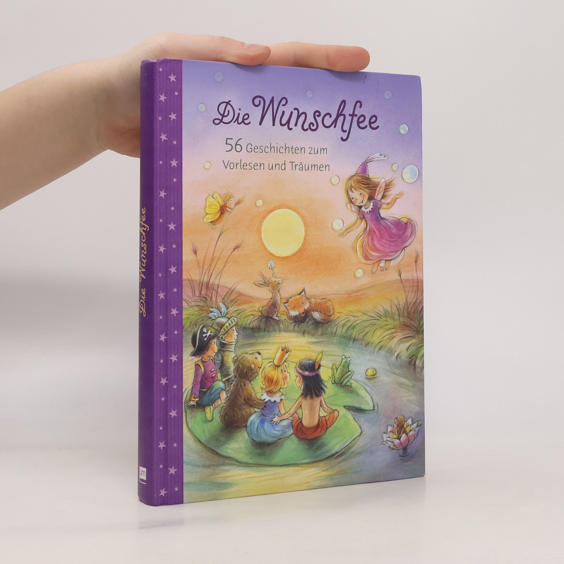 Kolektiv autorů Die Wunschfee