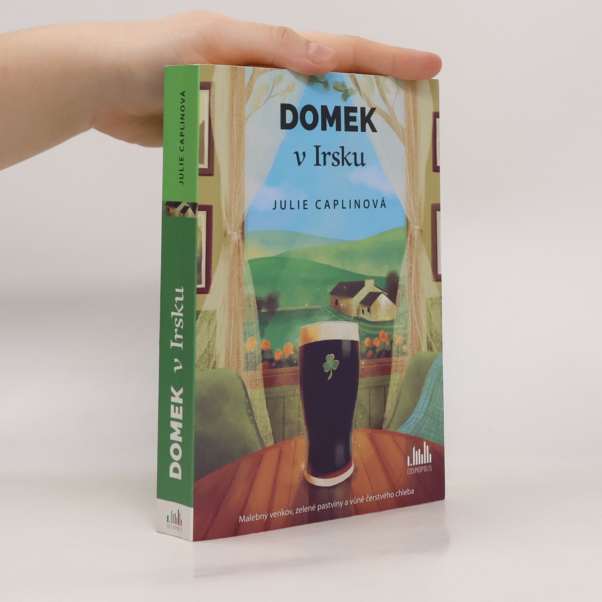 Julie Caplin Domek v Irsku