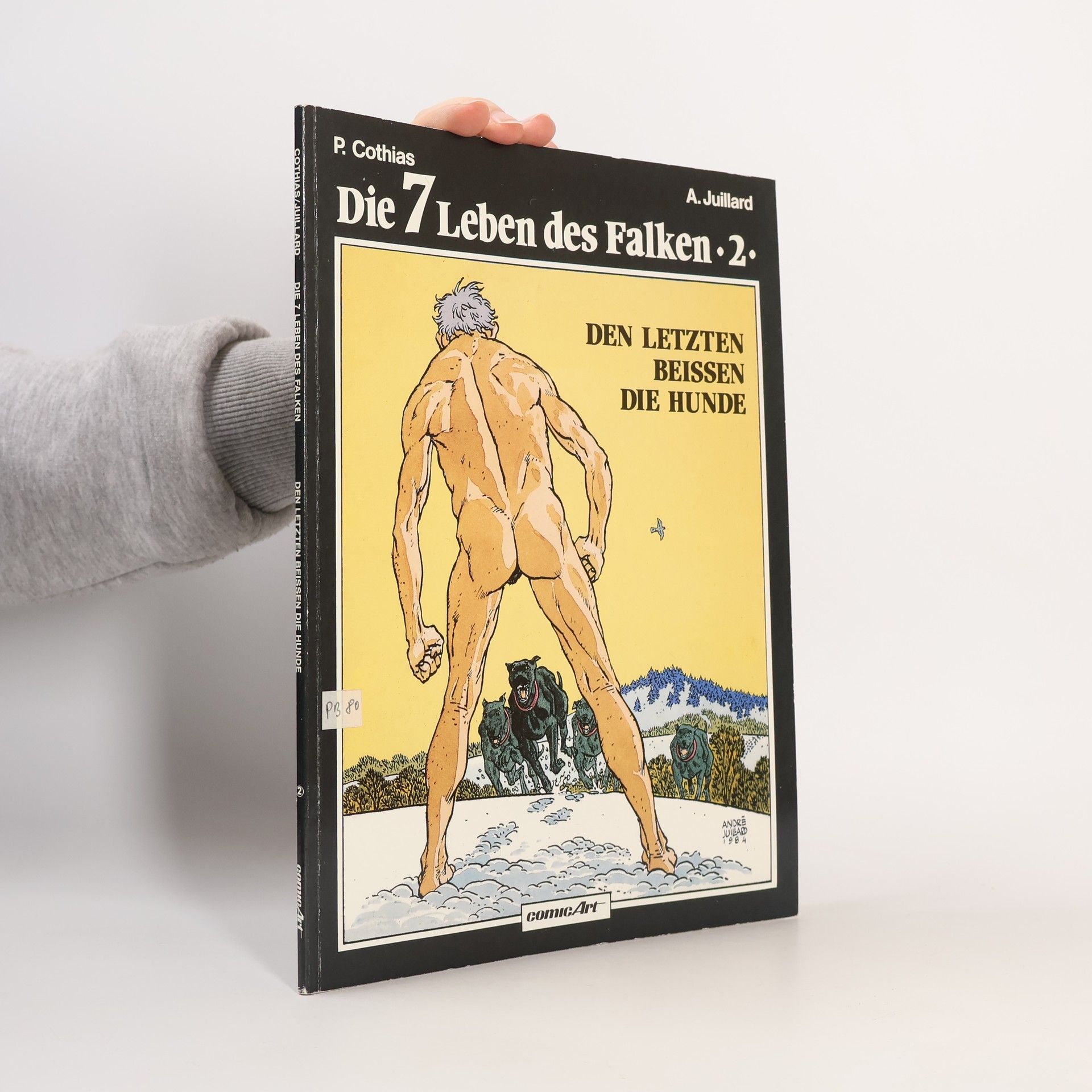 Kolektiv autorů Die 7 Leben des Falken