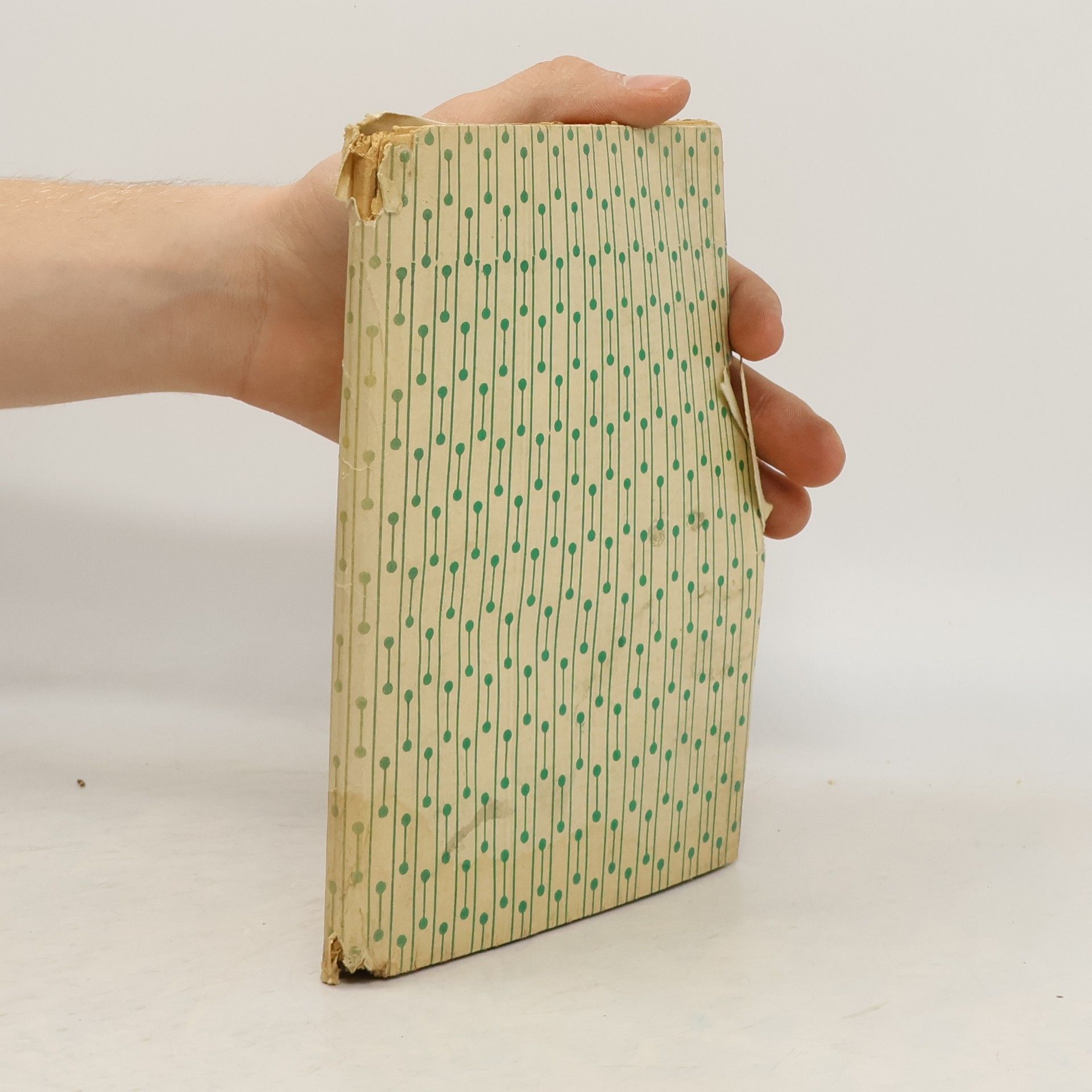 James Fenimore Cooper Poslední mohykán II