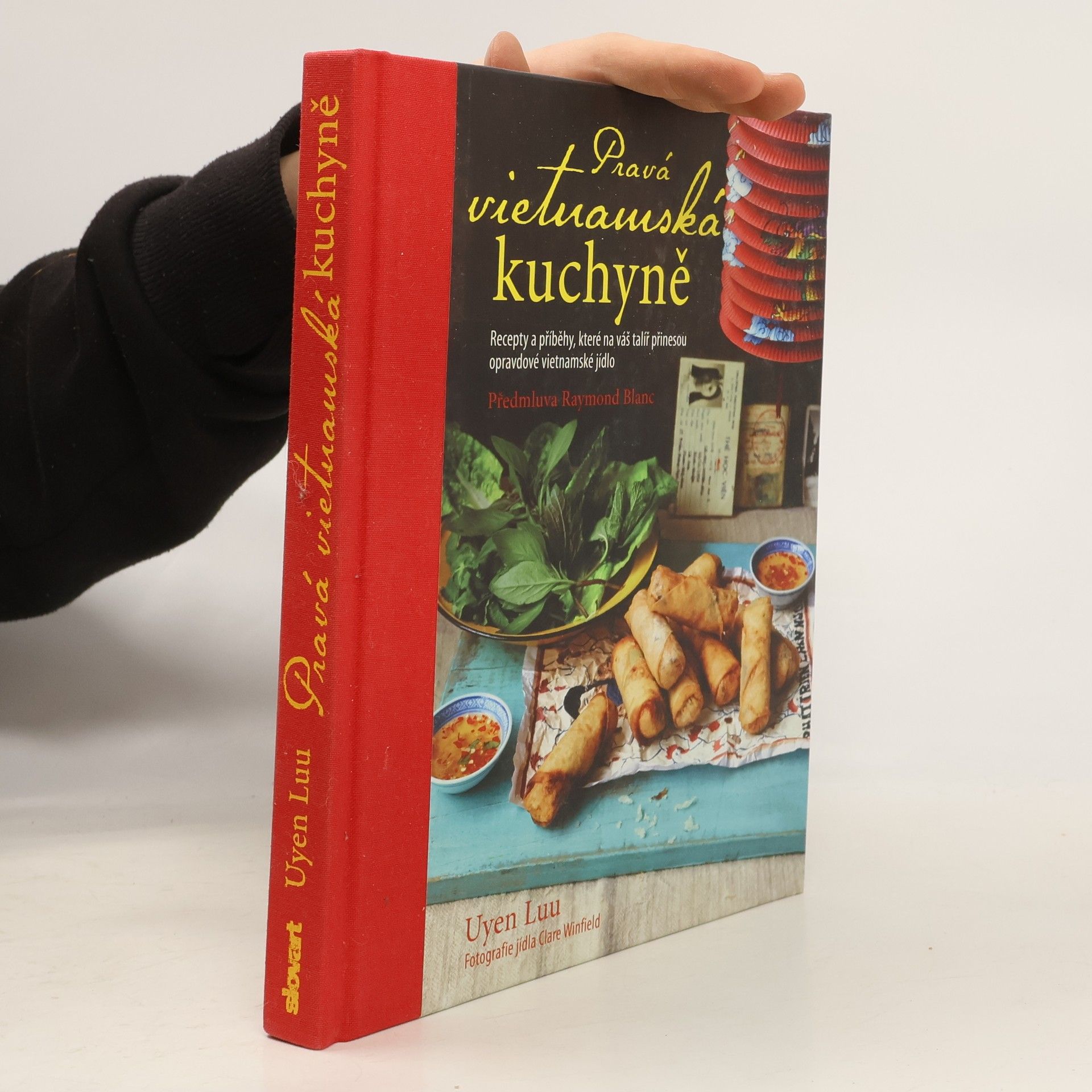 Pravá vietnamská kuchyně. Recepty a příběhy, které na váš talíř přinesou opravdové vietnamské jídlo