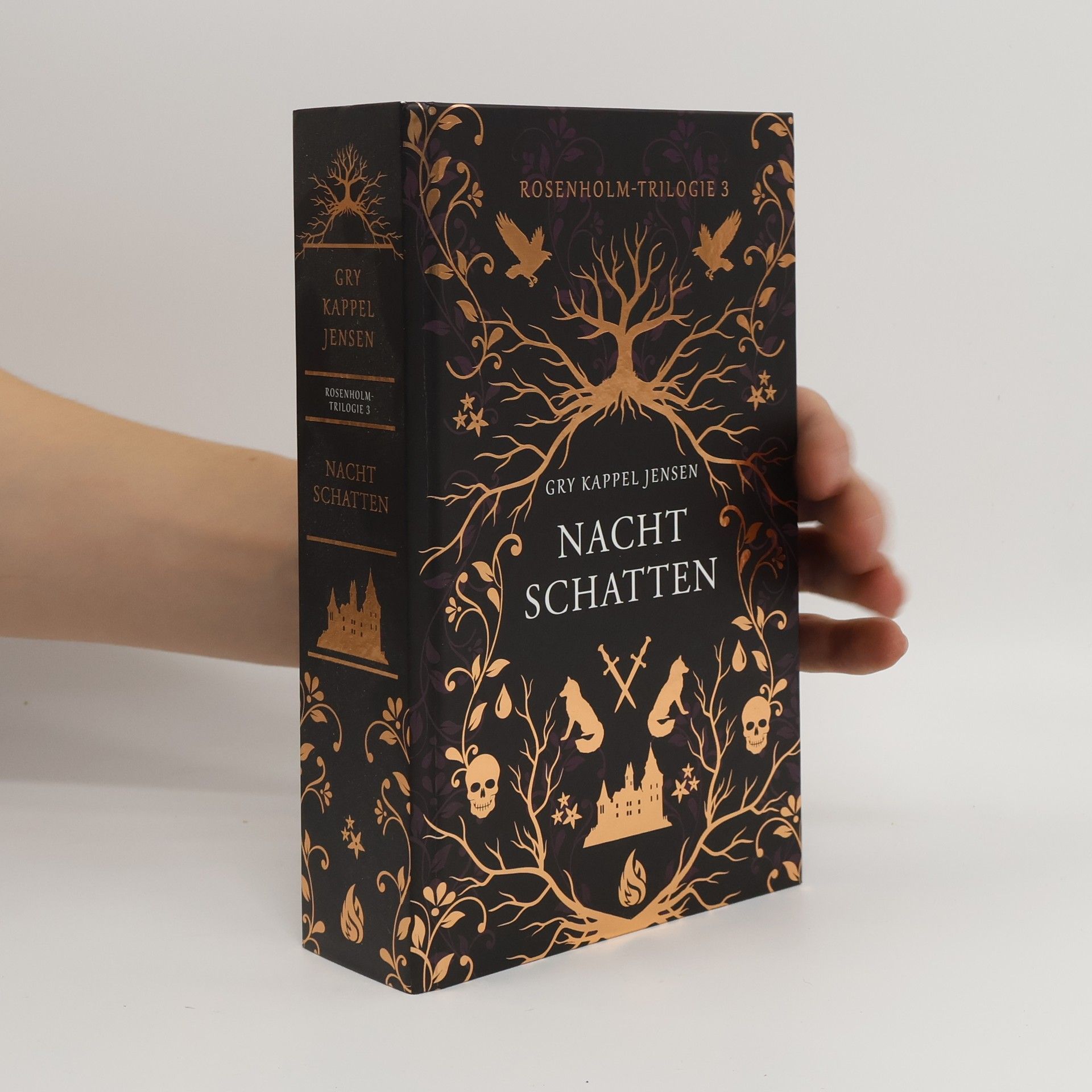 Gry Keppel Jensen Nachtschatten - Rosenholm-Trilogie (3)