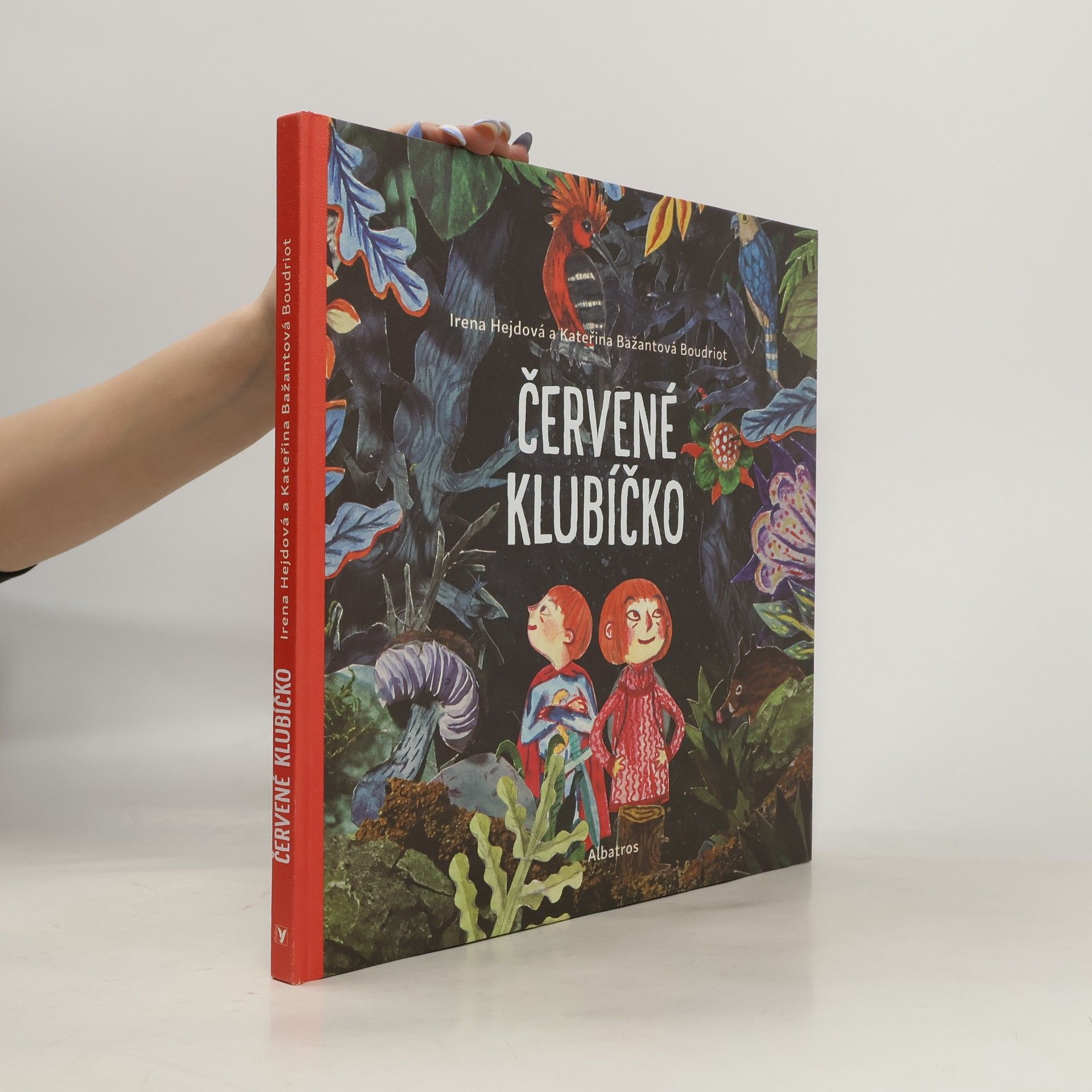Irena Hejdová Červené klubíčko