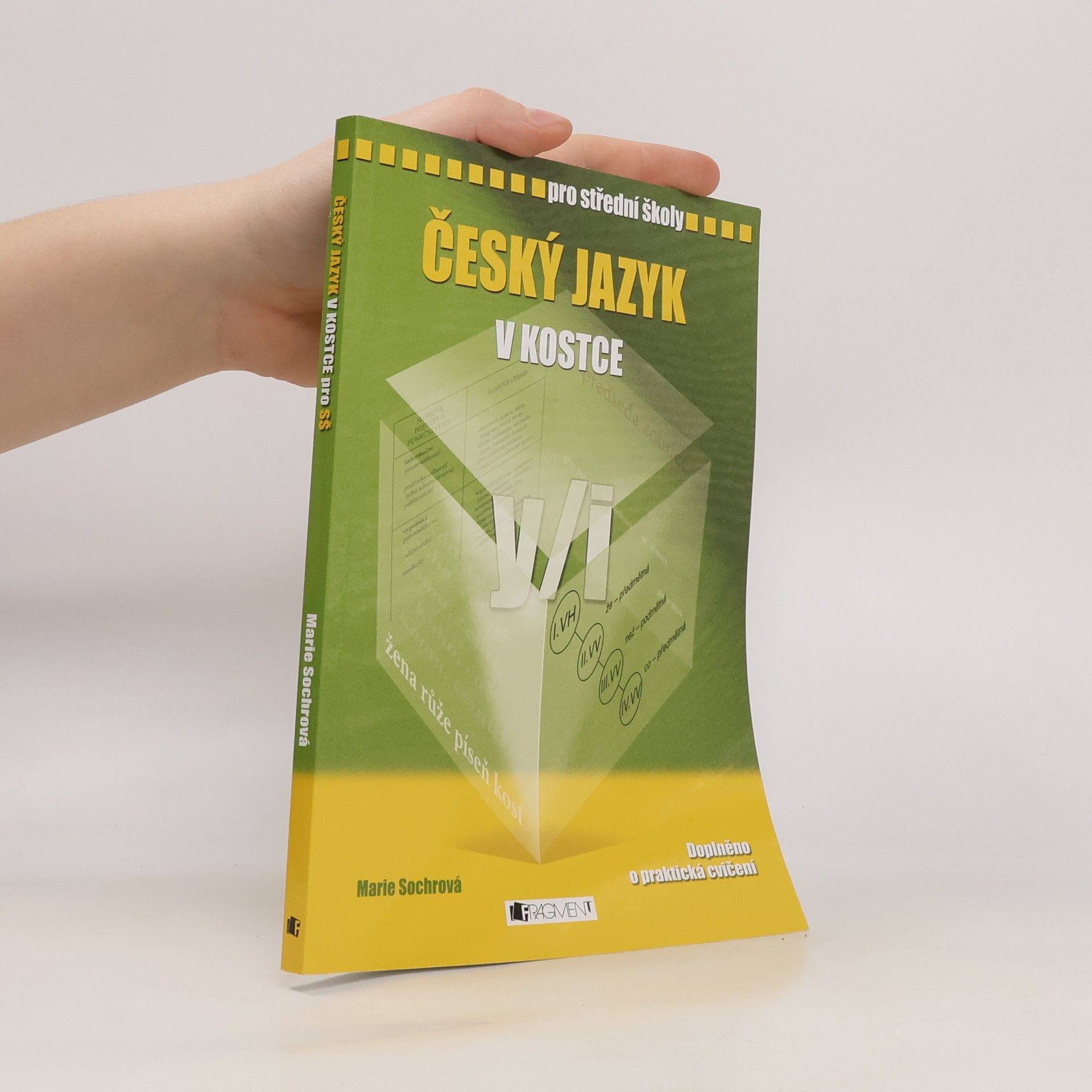 Marie Sochrová Český jazyk v kostce : pro střední školy