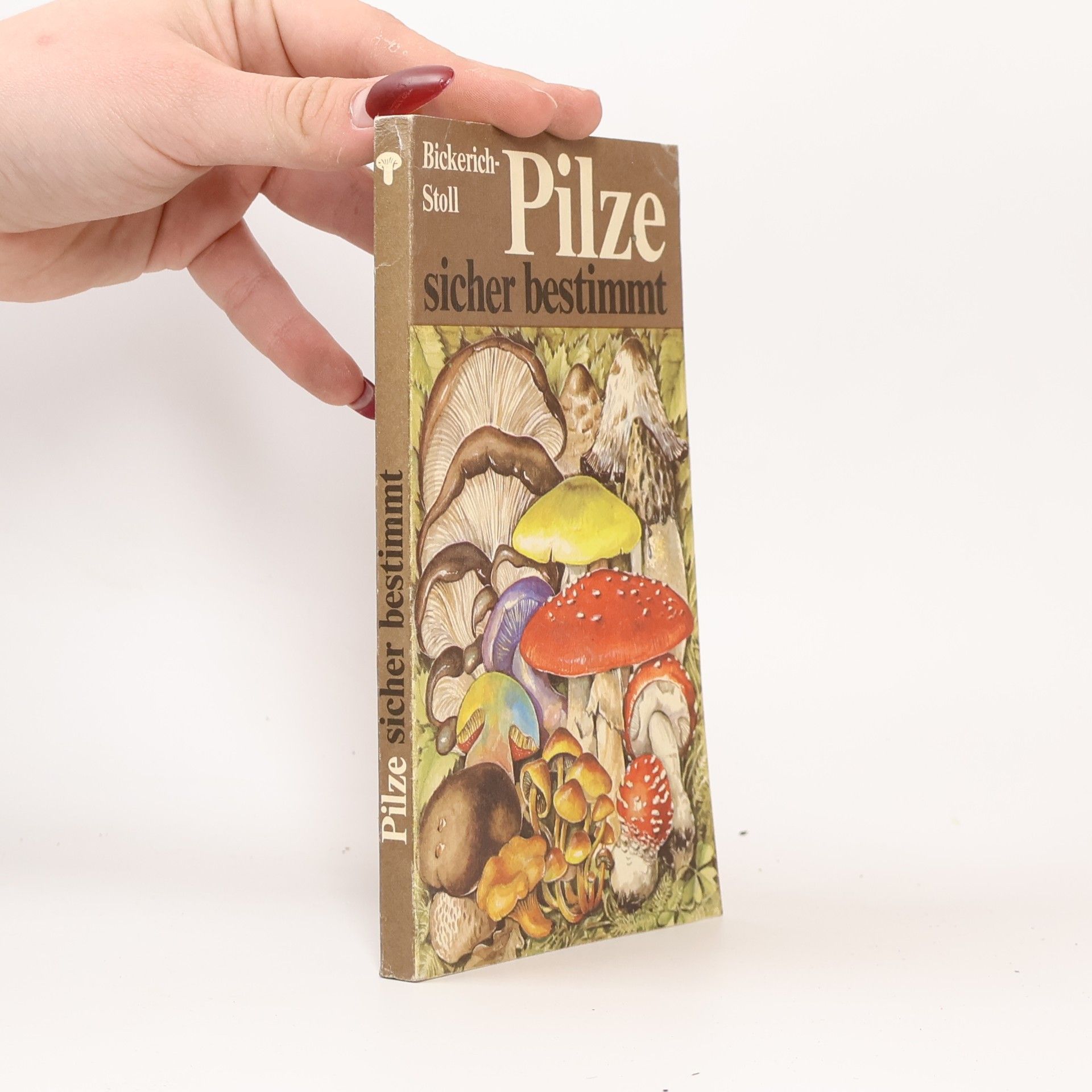 Katharina Bickerich Stoll Pilze sicher bestimmt