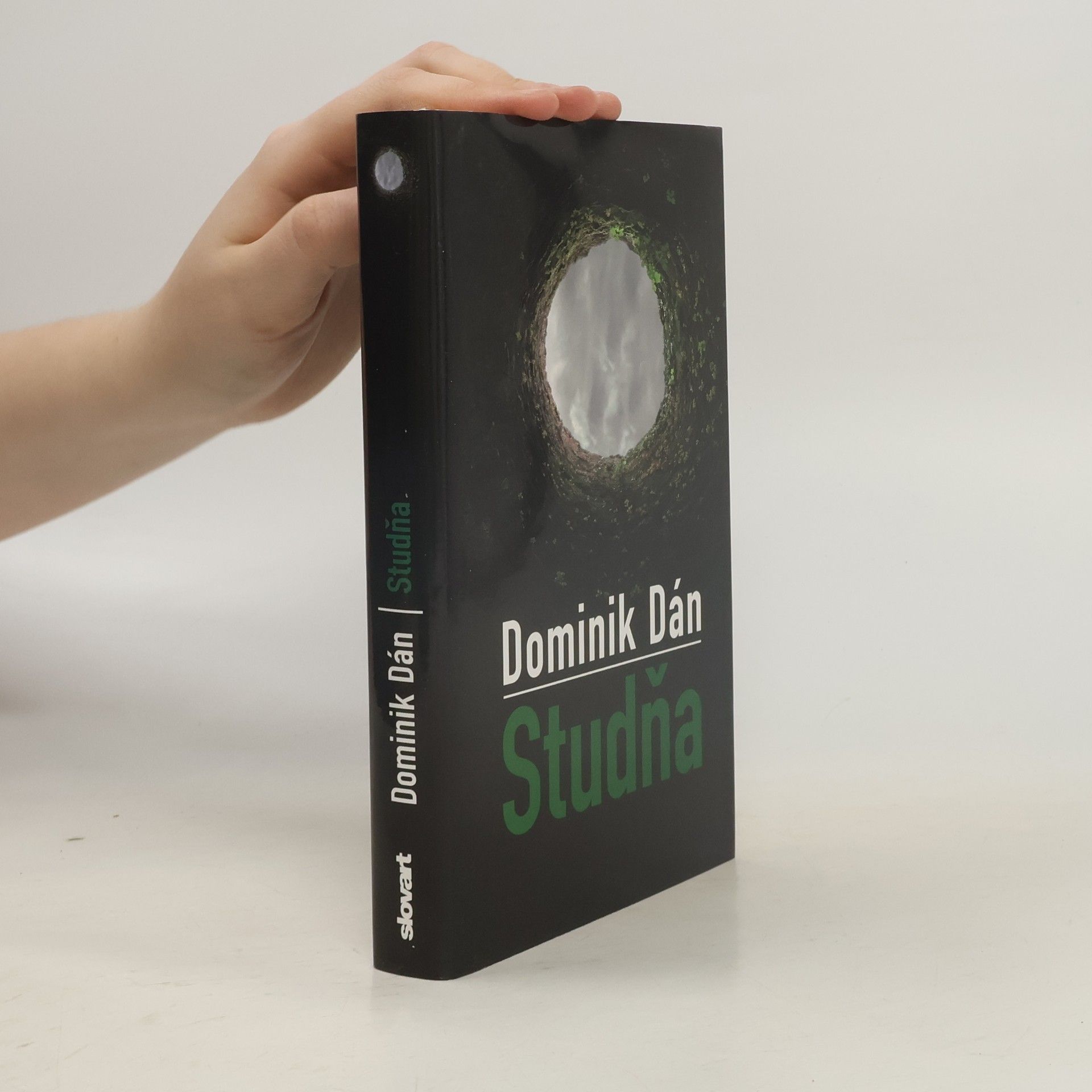 Dominik Dán Studňa