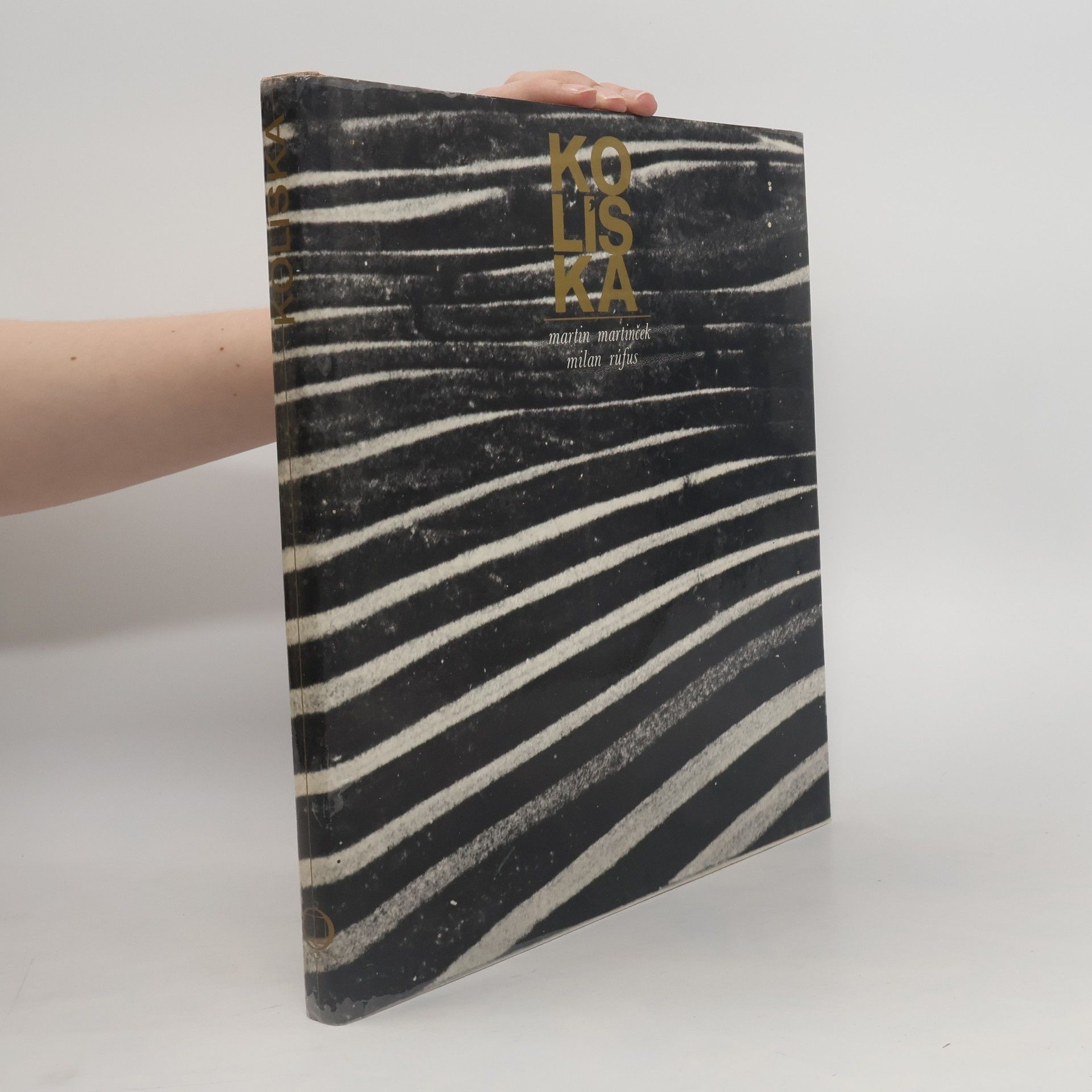 Martin Martinček Koľiska