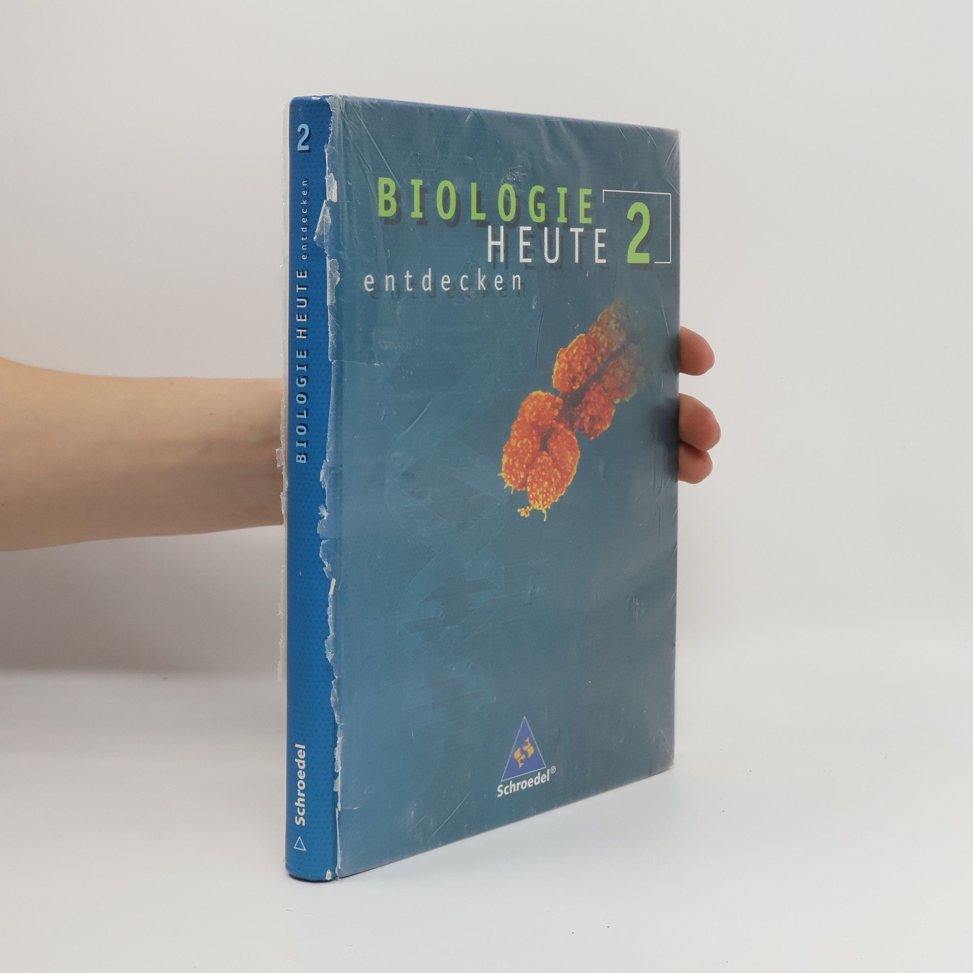 Michael Jütte Schülerband