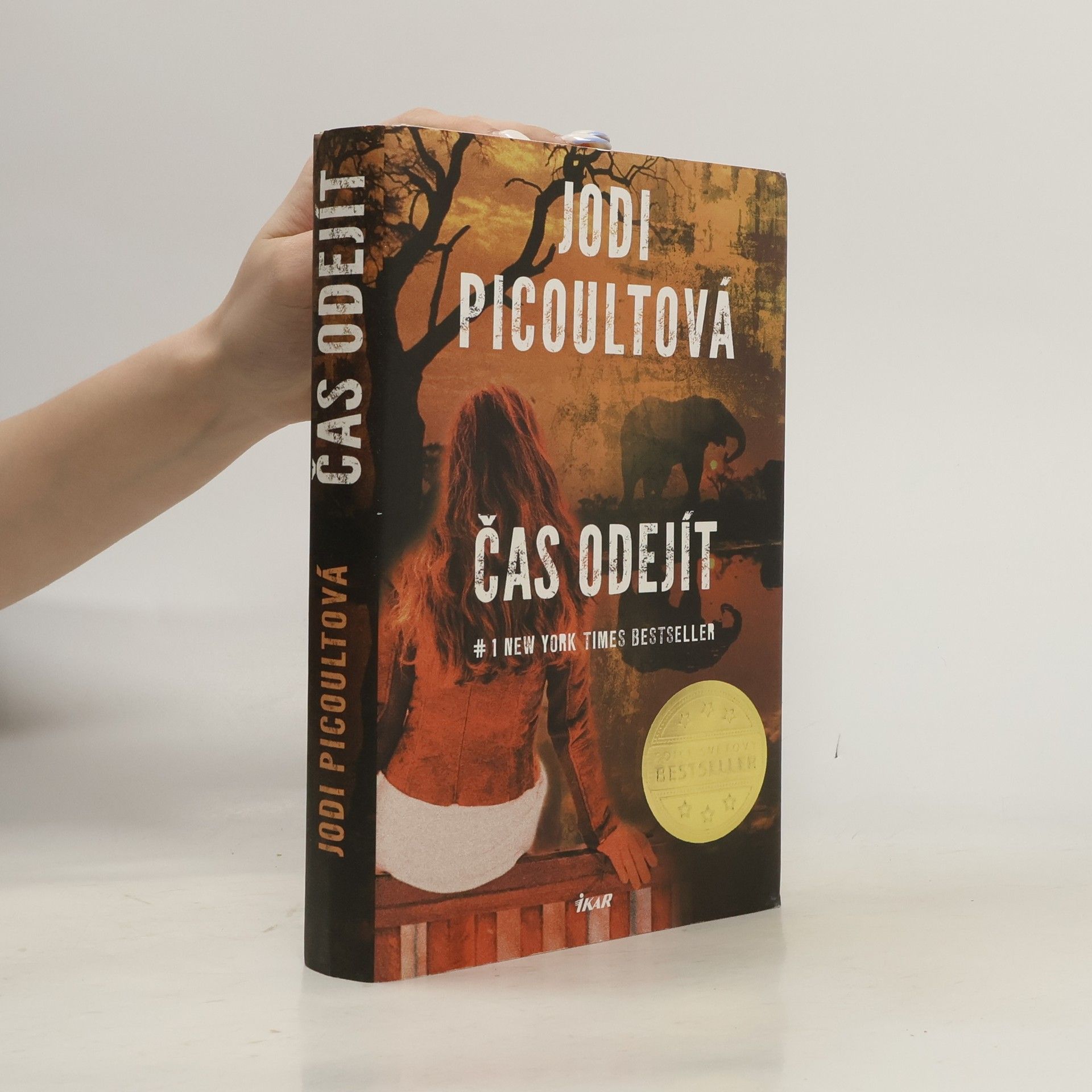 Jodi Picoult Čas odejít