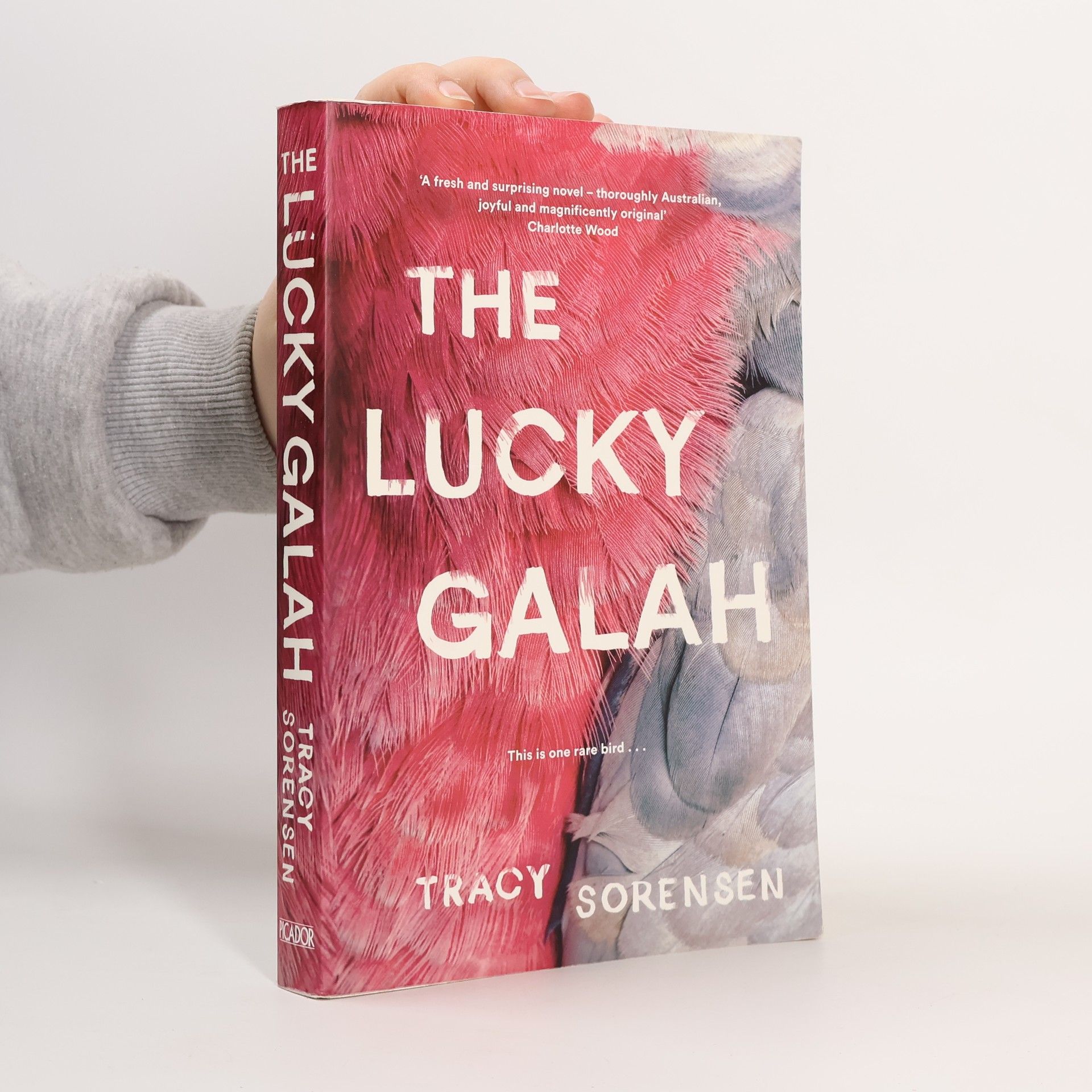 Tracy Sorensen The Lucky Galah