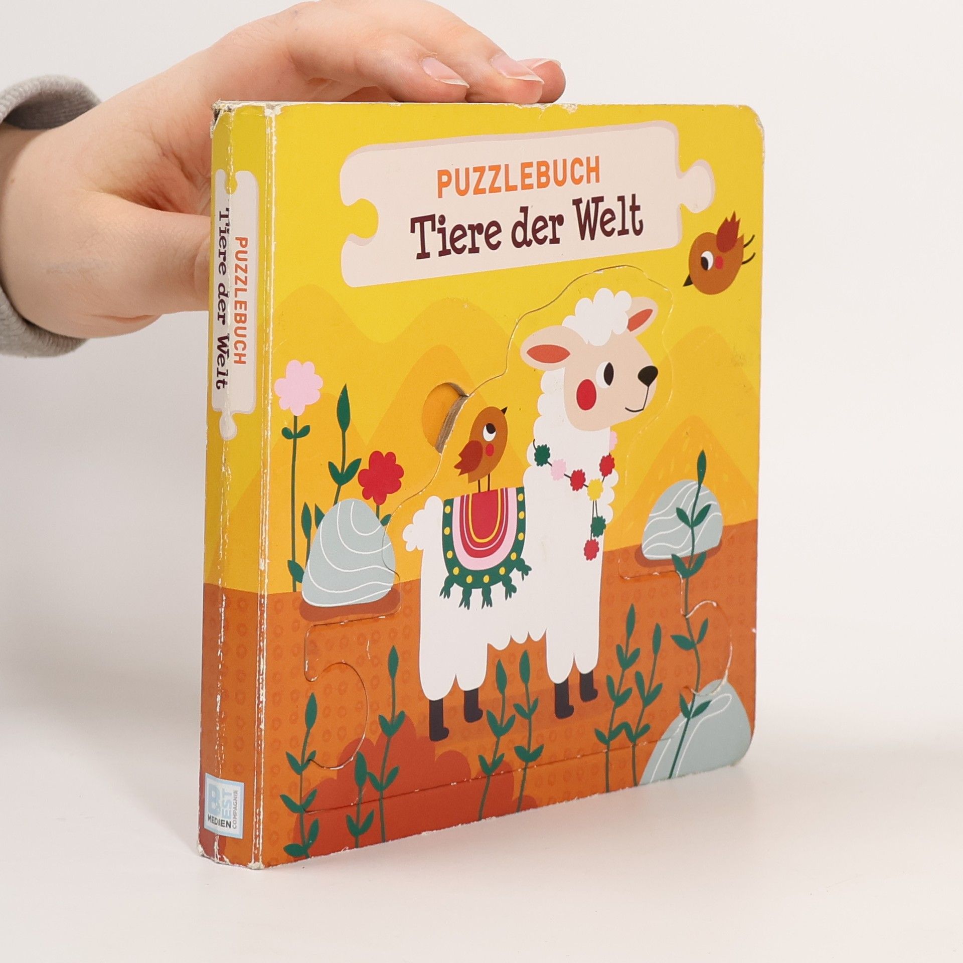 Kolektiv autorů Puzzlebuch. Tiere der Welt