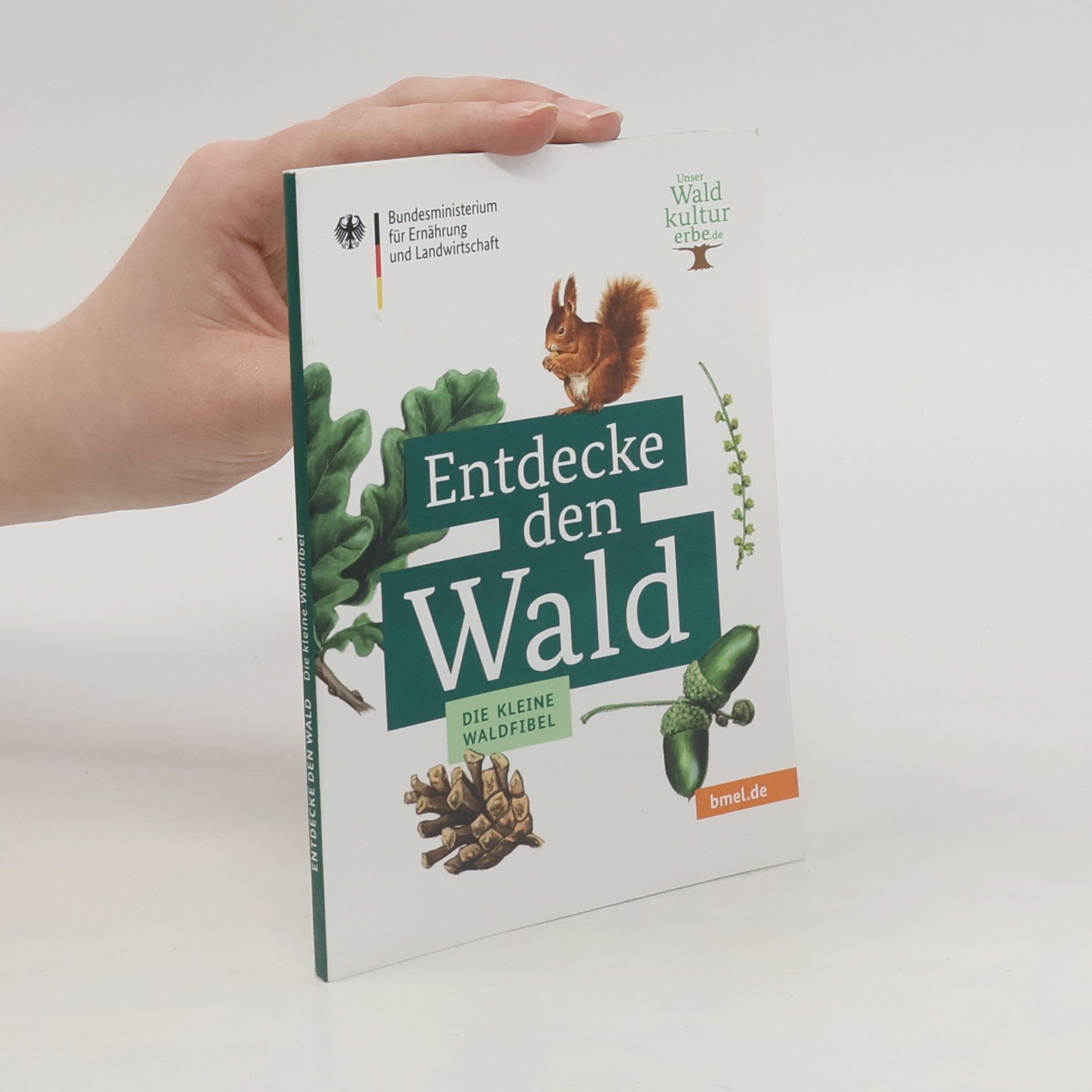 Various authors Entdecke den Wald. Die kleine Waldfibel