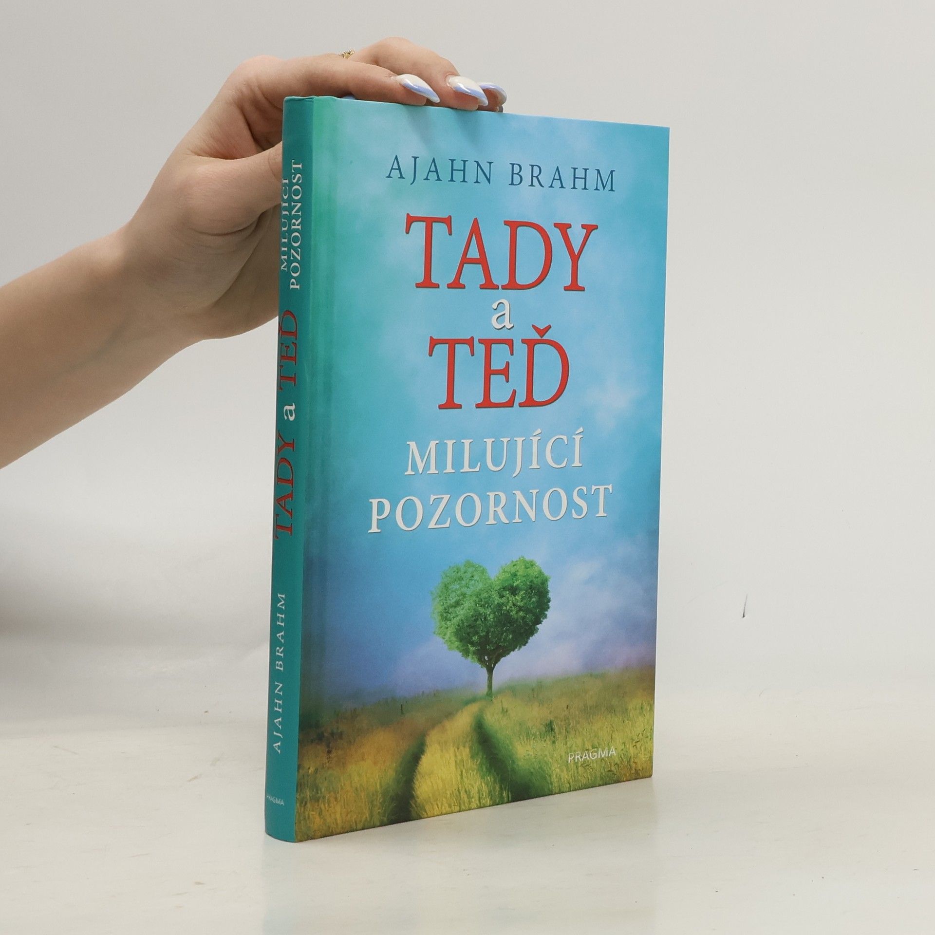 Karla Korteová Tady a teď. Milující pozornost