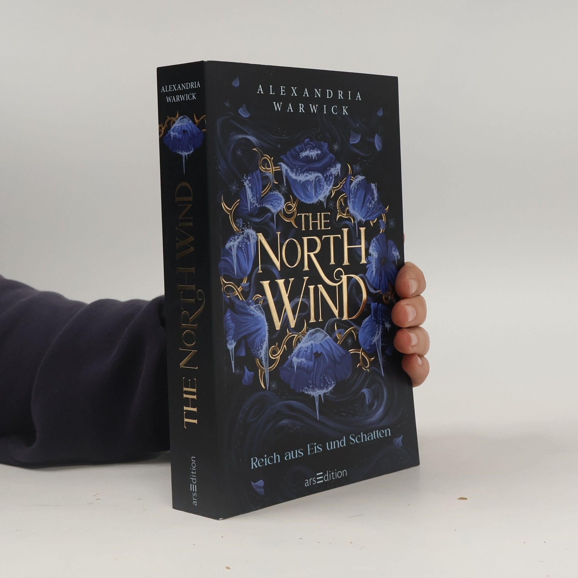 Alexandria Warwick The North Wind - Reich aus Eis und Schatten